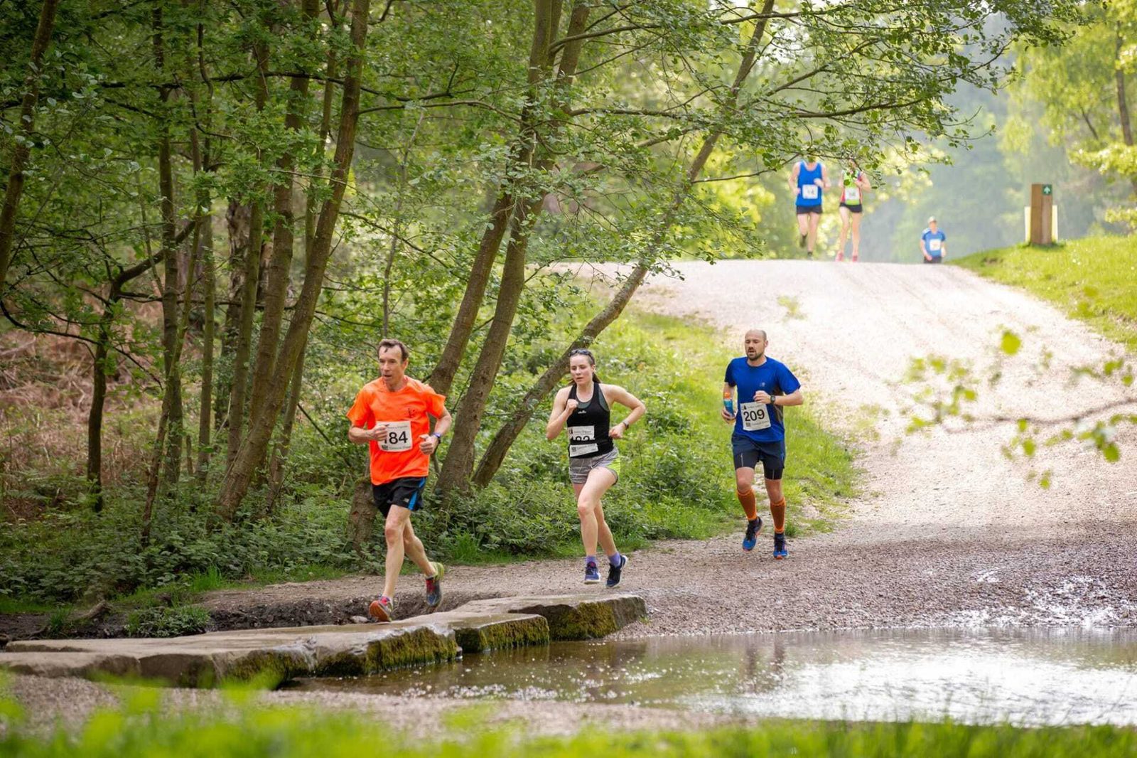 A group of runners, wearing numbered bibs, runs along a forest trail. The trail includes a small wooden bridge over a stream. Three runners are in the foreground, and three more are visible further back in the distance. Lush green trees and foliage surround the path.
