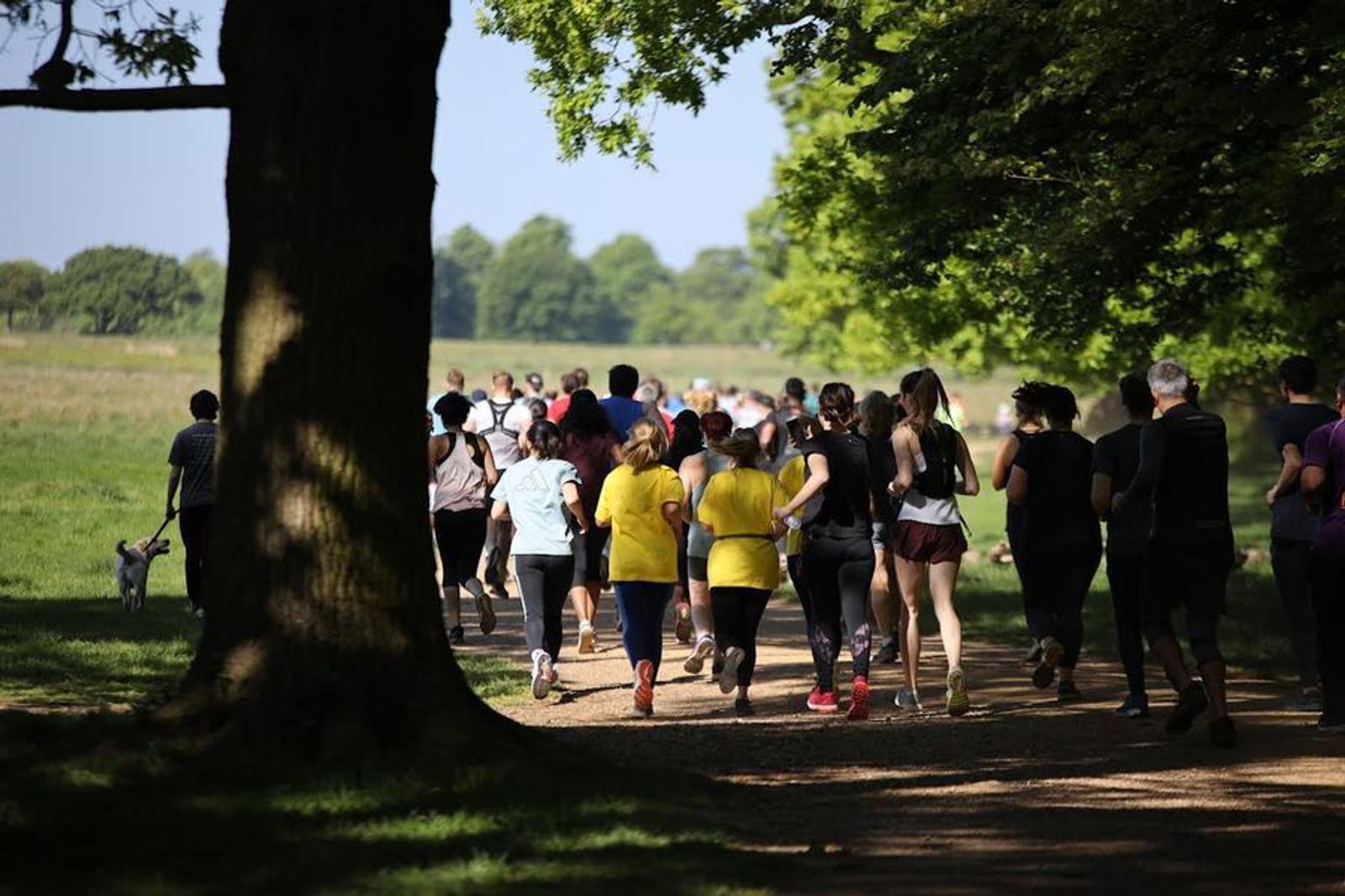 A group of people participating in a run or walk on a shaded path through a park with lush green grass and trees. Some are dressed in sportswear, and a few are wearing bright-colored shirts. The sun is shining, casting shadows from the trees along the path.