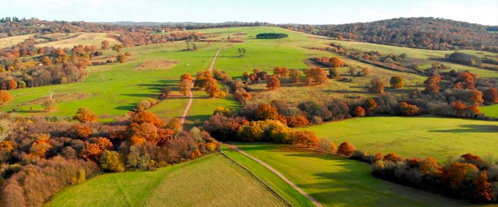 Aerial view of a rolling countryside landscape in autumn. Green fields and meadows are interspersed with clusters of trees displaying vibrant fall foliage in shades of orange, red, and yellow. A dirt path winds through the scenery, leading towards distant hills.