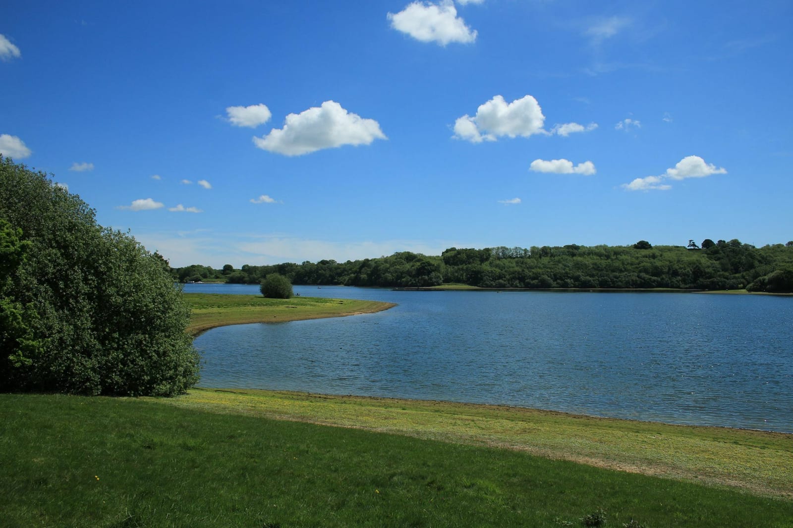 A serene landscape with a calm lake surrounded by green grassy banks and lush trees. The sky is a vibrant blue scattered with a few fluffy white clouds. The distant shoreline is lined with dense wooded areas.