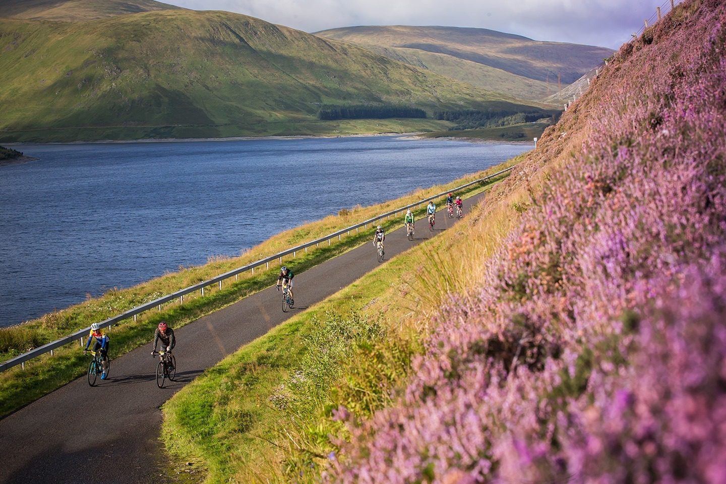 Cyclists ride along a paved road flanked by a lake on one side and hills covered in blooming heather on the other. The landscape features rolling hills under a partly cloudy sky, creating a picturesque and serene outdoor scene.