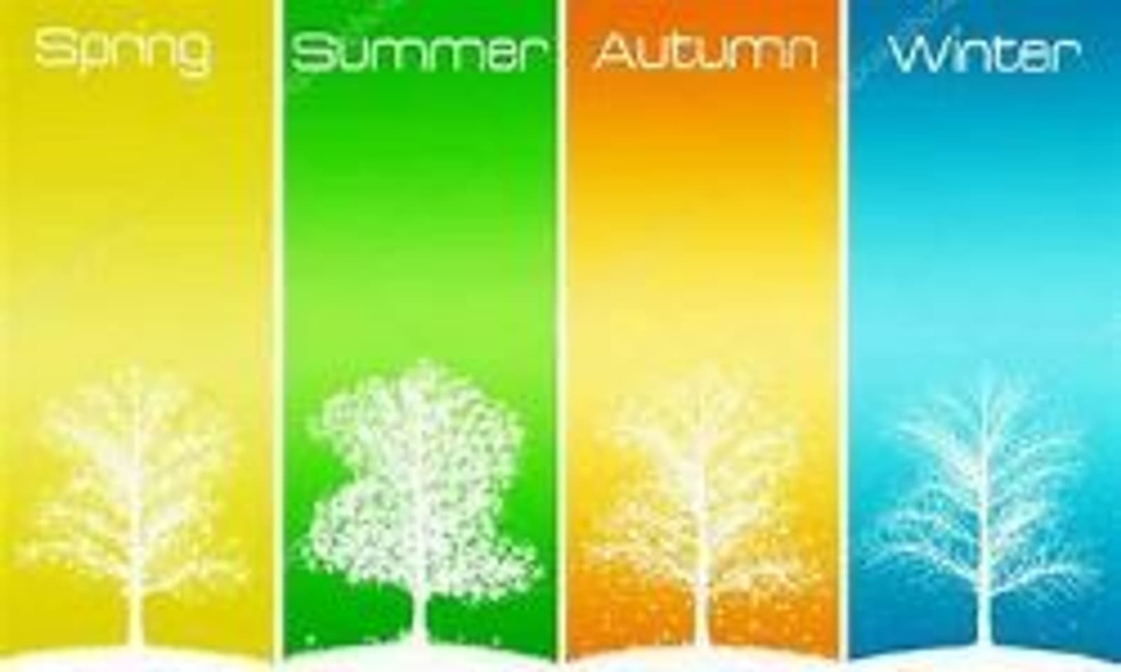 Illustration showing four trees representing the four seasons: Spring (tree with light green background), Summer (tree with bright green background), Autumn (tree with yellow and orange background), and Winter (bare tree with a blue background).