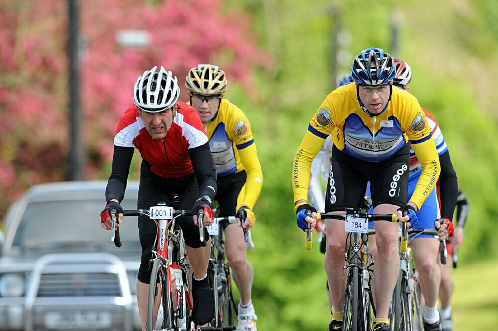 Four cyclists in colorful gear are riding bicycles on a road during a race. The cyclist on the left wears a red and white jersey, while the others are in yellow and blue. Trees with pink blossoms and a car are visible in the background.