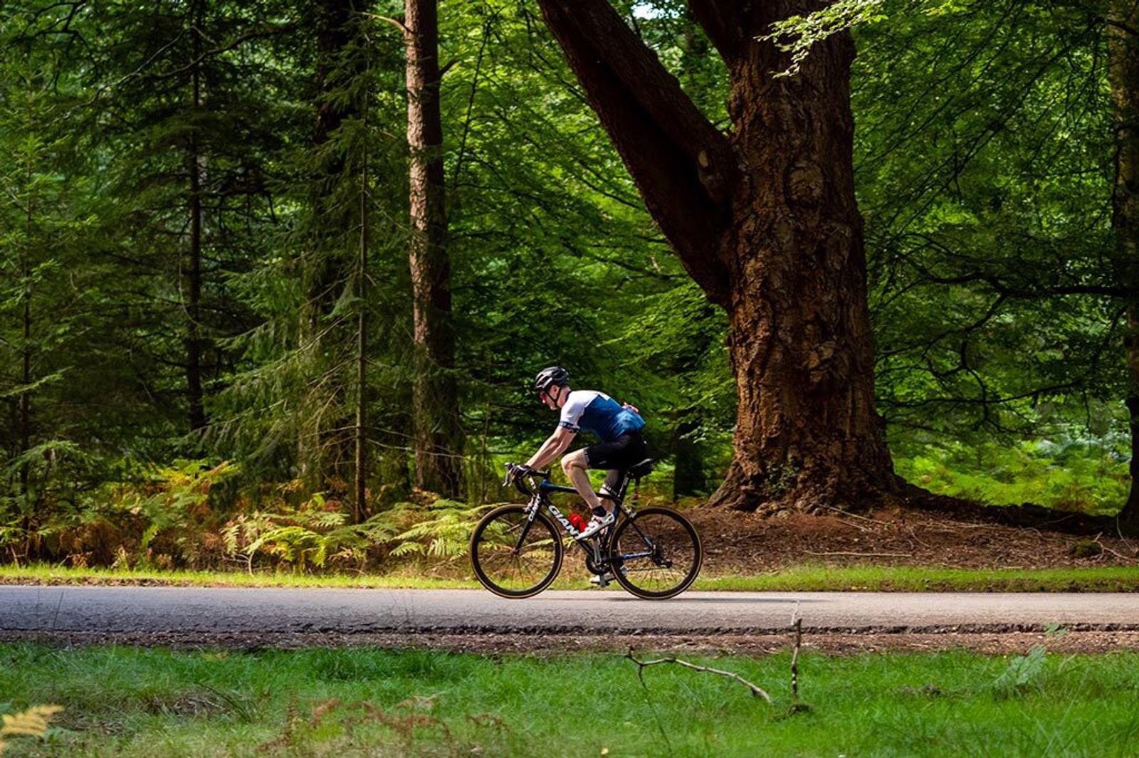 A cyclist rides along a paved road through a lush forest, wearing a helmet and cycling attire. Tall trees with thick trunks and green foliage surround the road, creating a serene and natural atmosphere.