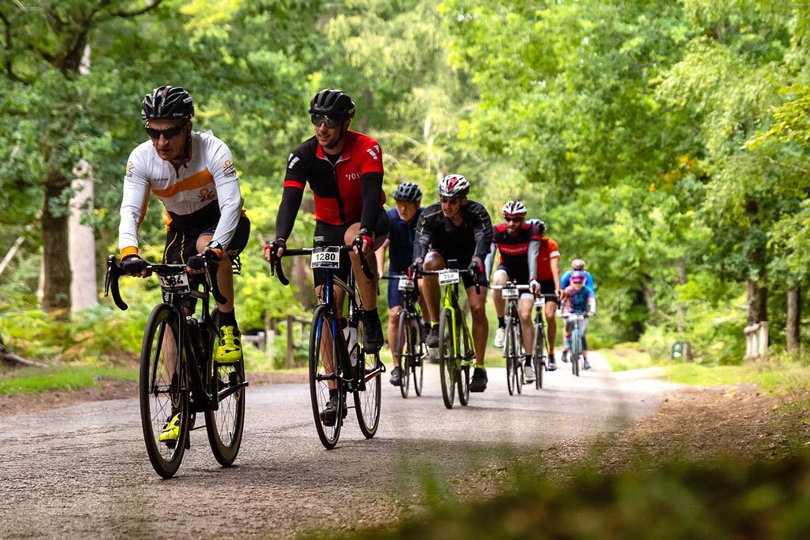 A group of cyclists ride on a tree-lined road, wearing colorful cycling gear and helmets. The leading cyclist wears a white jersey, followed by others in varied jerseys including red and black. The background is lush and green, suggesting they are biking through a park or forest.
