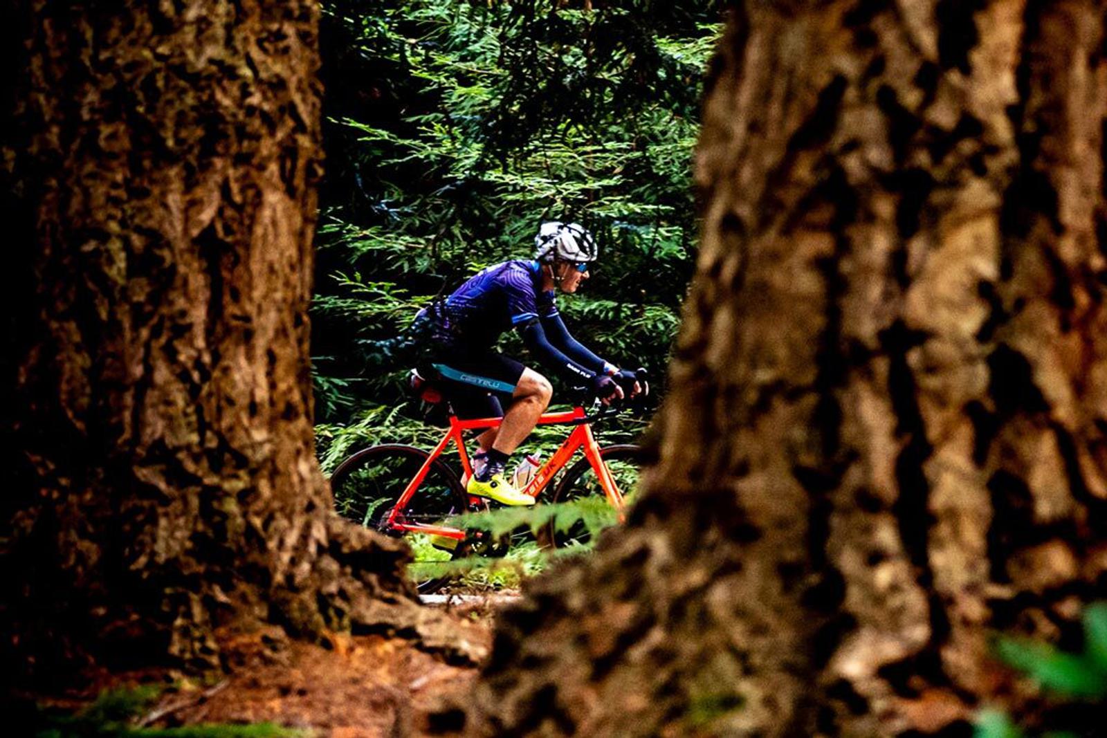 A cyclist in a purple jacket and helmet rides a red bike through a forest, framed between two large tree trunks in the foreground. The background is filled with dense, green foliage.