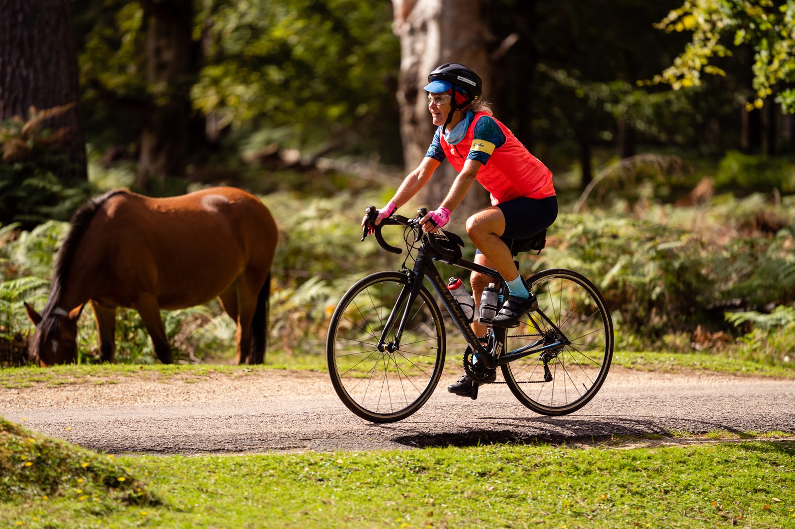 A person in a red cycling jersey and blue helmet rides a bicycle on a path through a wooded area with green grass and ferns. A brown horse grazes nearby. The scene is sunlit and natural.