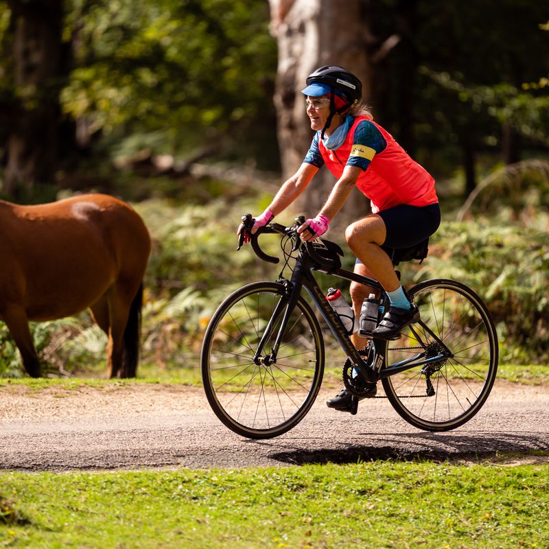 The UKCE New Forest Tour Saturday 2024 Sat 21 Sept Findarace