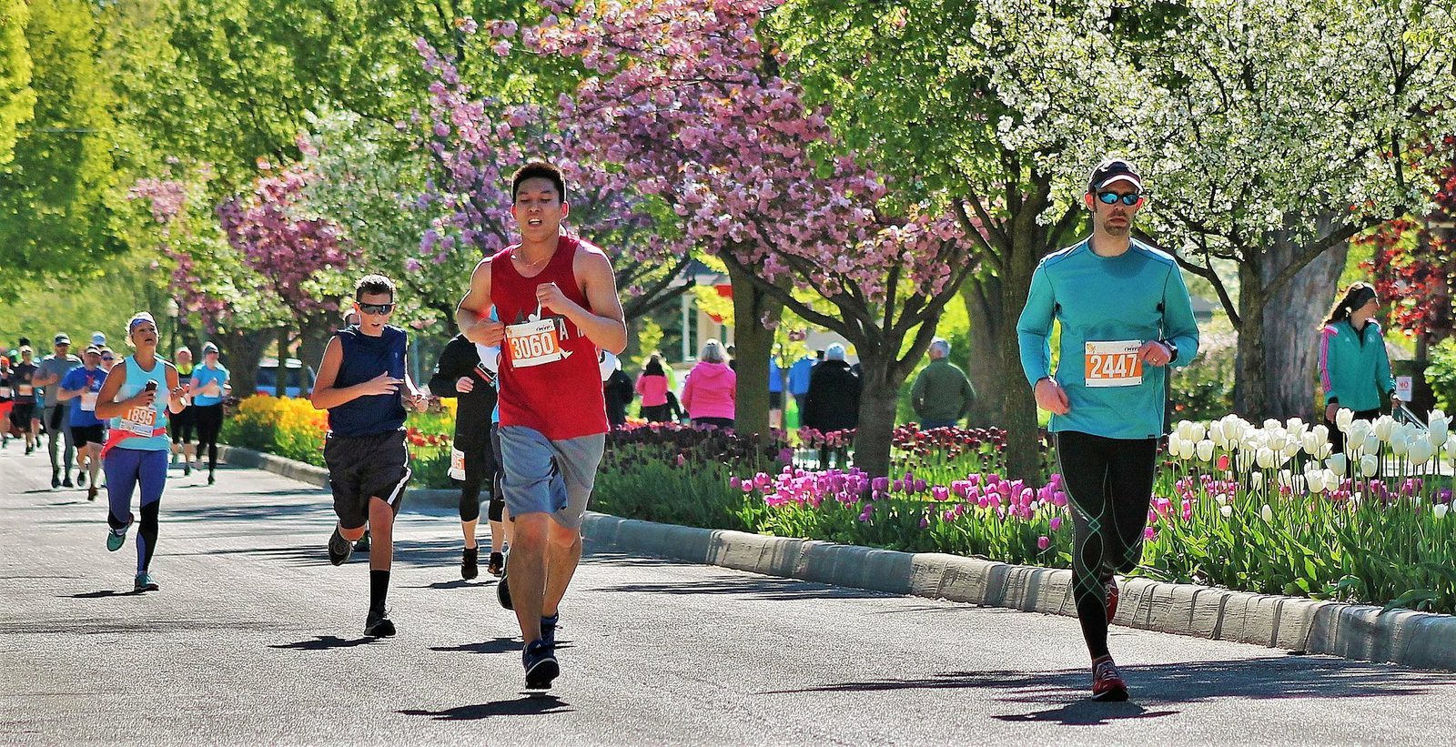 A group of runners participate in an outdoor race on a sunny day. They are surrounded by vibrant blooming trees and colorful flowers lining the street. The runners wear numbered bibs, athletic outfits, and some sport sunglasses and hats.