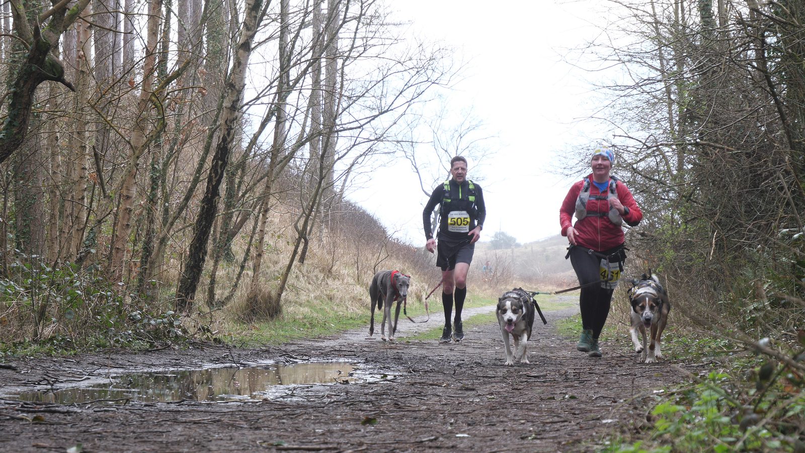 Two people are running on a muddy forest trail, each accompanied by two dogs on leashes. The person on the left is dressed in black and the person on the right is wearing a bright jacket and beanie. The trail is lined with leafless trees, and there are puddles on the ground.