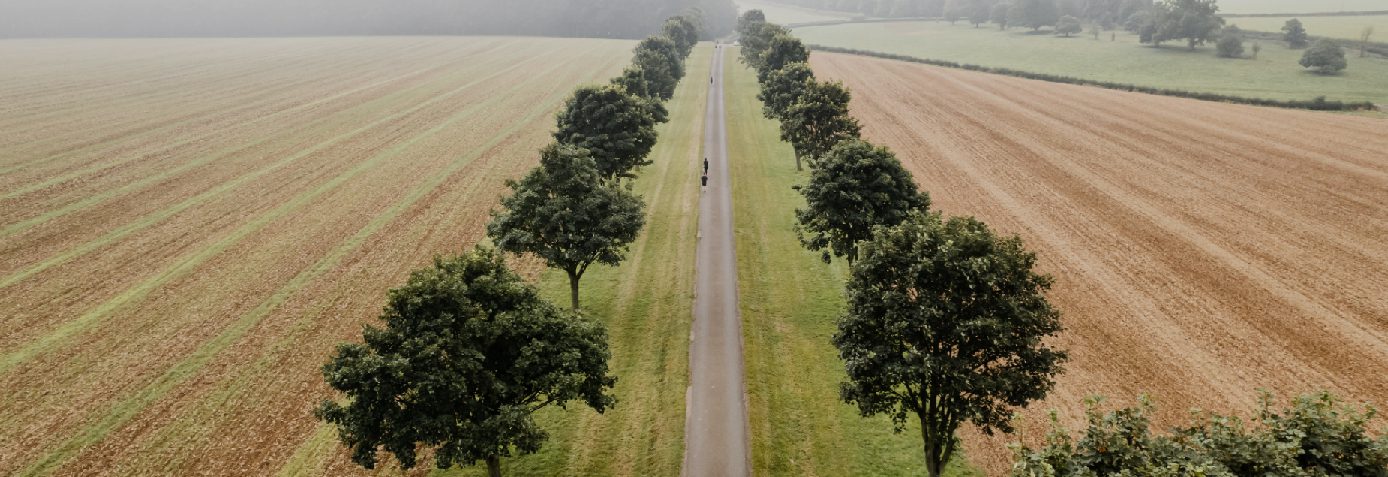 Aerial view of a narrow tree-lined road cutting through a vast landscape of fields. The fields on either side of the road are split into rows with crops, creating a symmetrical pattern. The sky is overcast with a light gray mist in the distance.