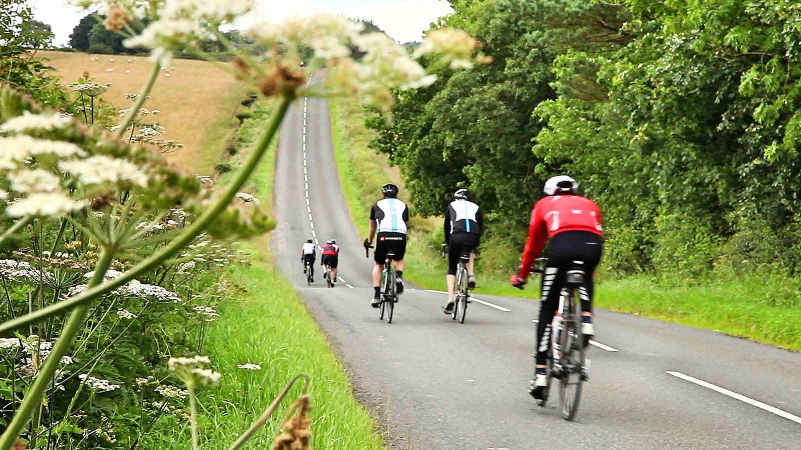 A group of cyclists, wearing professional gear, ride along a tree-lined country road. The road is flanked by green grass and wildflowers in the foreground. The terrain appears to have a slight incline, and the sky is overcast.