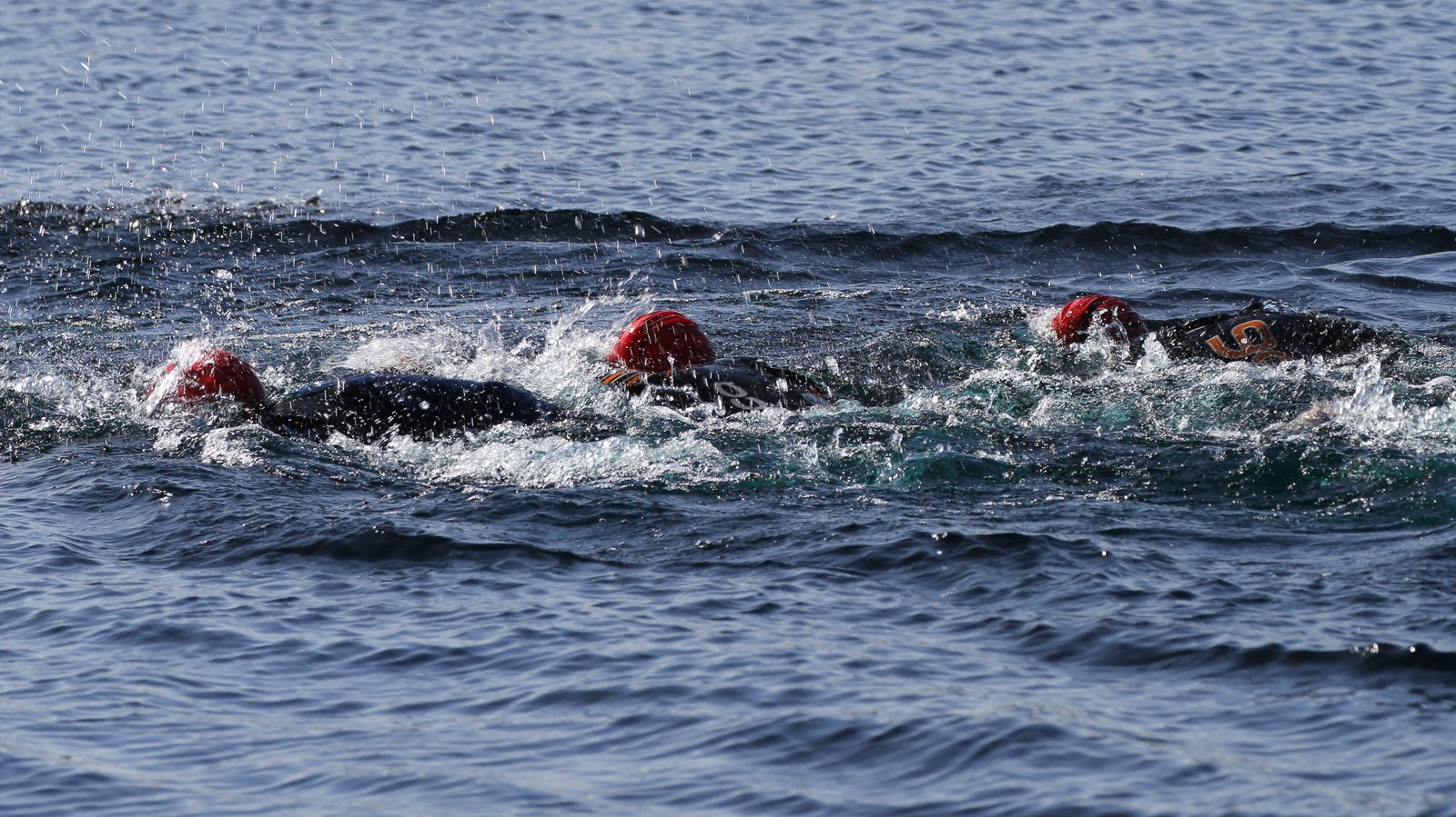 Five swimmers wearing red caps and black wetsuits swim freestyle in open water, creating splashes as they move. The dark blue water contrasts with the red caps, indicating competitive or group swimming.