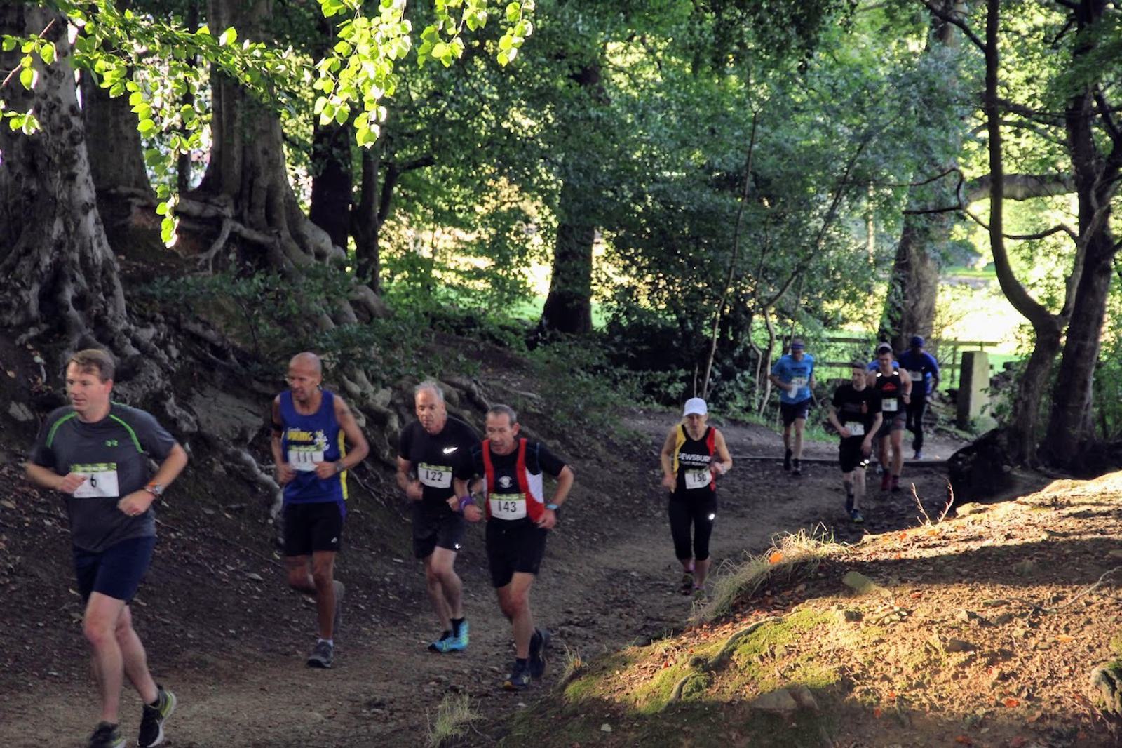 A group of runners participating in a trail race jog along a dirt path through a lush, green forest. They are wearing race bibs and athletic gear. The sunlight filters through the trees, casting dappled shadows across the ground.
