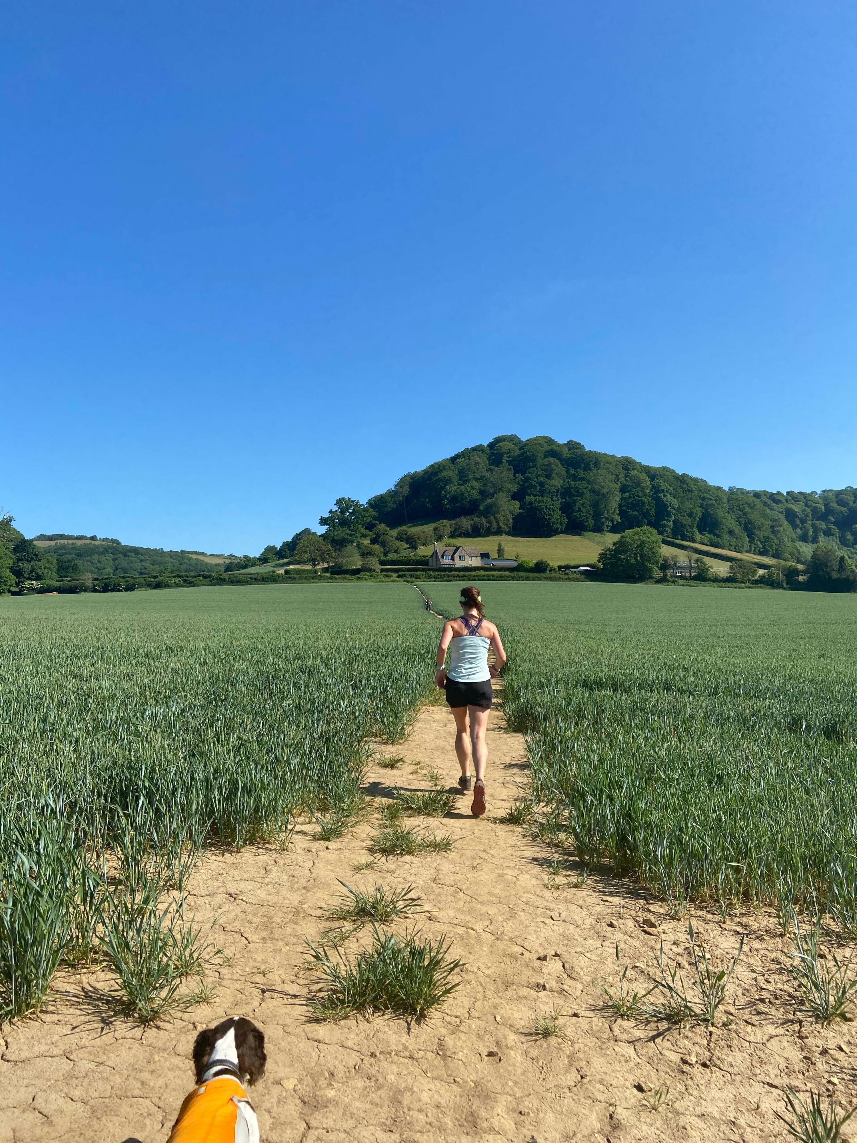A woman wearing a tank top and shorts walks along a dirt path through a lush green field with a dog in an orange vest following her. A wooded hill and a farmhouse are visible in the background under a clear blue sky.