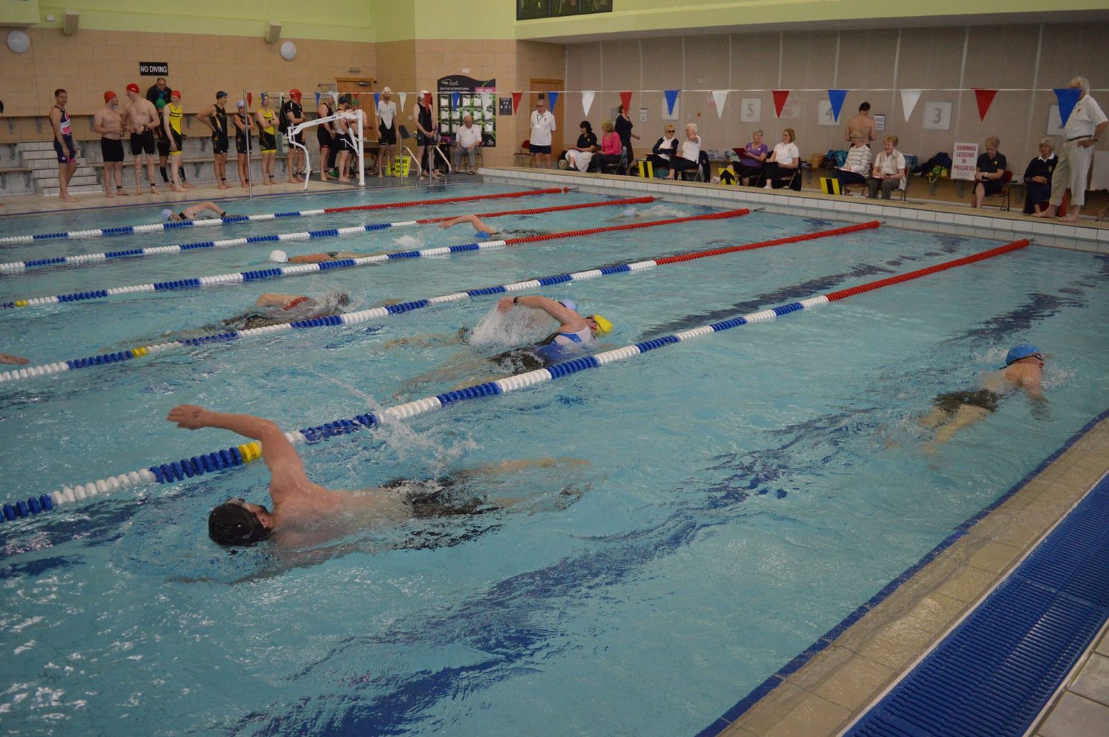 Five swimmers are competing in a swimming race in an indoor pool. Spectators and team members are watching from the sides. The swimmers are performing the freestyle stroke, and colorful lane dividers separate their lanes. The pool area is well-lit.