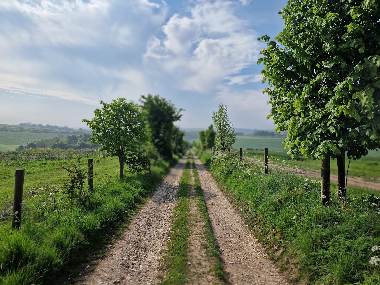 A scenic rural path stretches ahead, bordered by lush green trees and grassy fields under a partly cloudy blue sky. The path is made of dirt and gravel, flanked by wooden fences.
