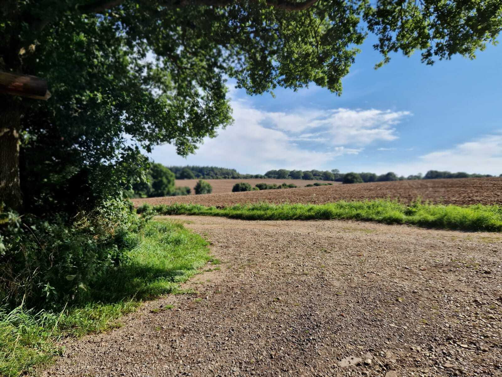 A peaceful countryside scene with a dirt path curving through a field. The foreground is shaded by tree branches, while the field and distant trees are bathed in sunlight under a partly cloudy blue sky.