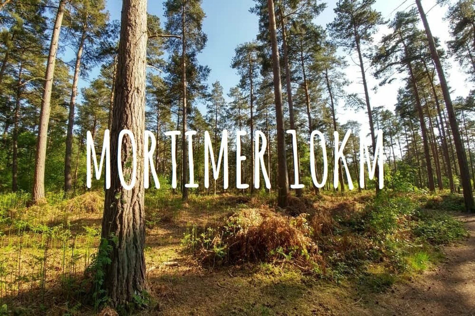 A serene forest scene with tall trees and dense foliage is depicted. Overlaying the image is bold white text that reads "MORTIMER 10KM," suggesting this location is part of a 10-kilometer route or event in Mortimer.