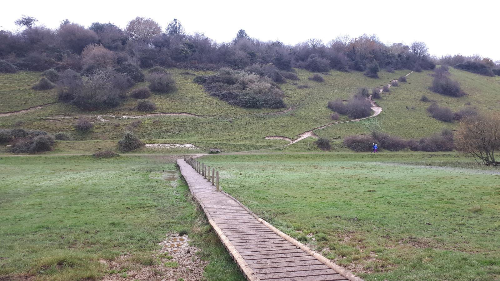 A wooden boardwalk leads across a grassy field towards a sloping hill. Visible are multiple winding paths ascending the hill, which is covered with patches of shrubs and trees. The sky is overcast, and the scene has a peaceful, natural atmosphere.
