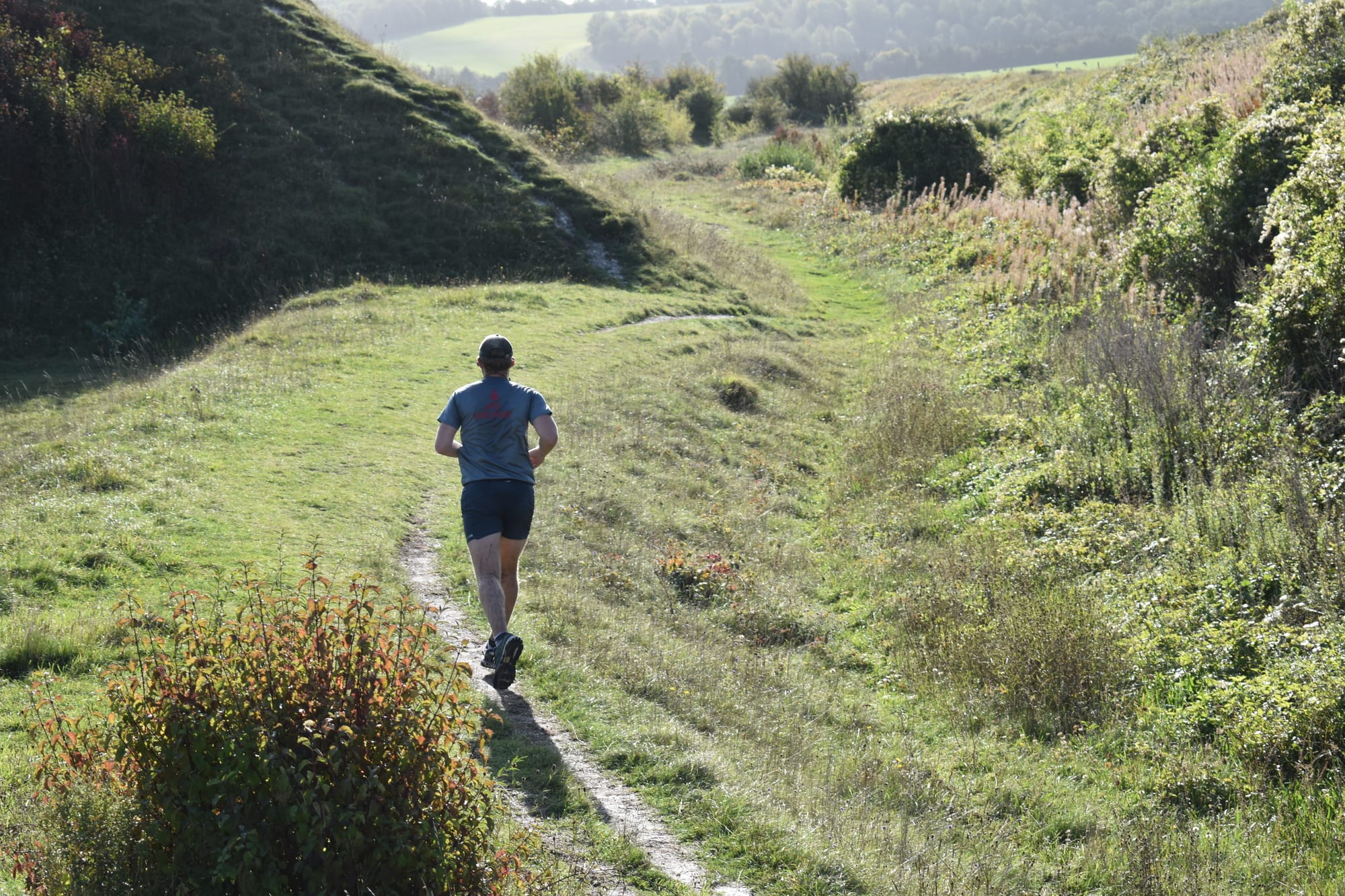 Tricounties Trail Running header image
