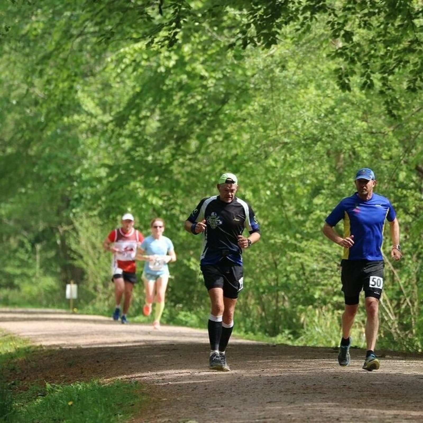 A group of four individuals is running on a shaded forest trail. The runners are dressed in athletic gear, with race numbers visible on two of them. The lush greenery of the forest surrounds them, creating a serene and natural backdrop.
