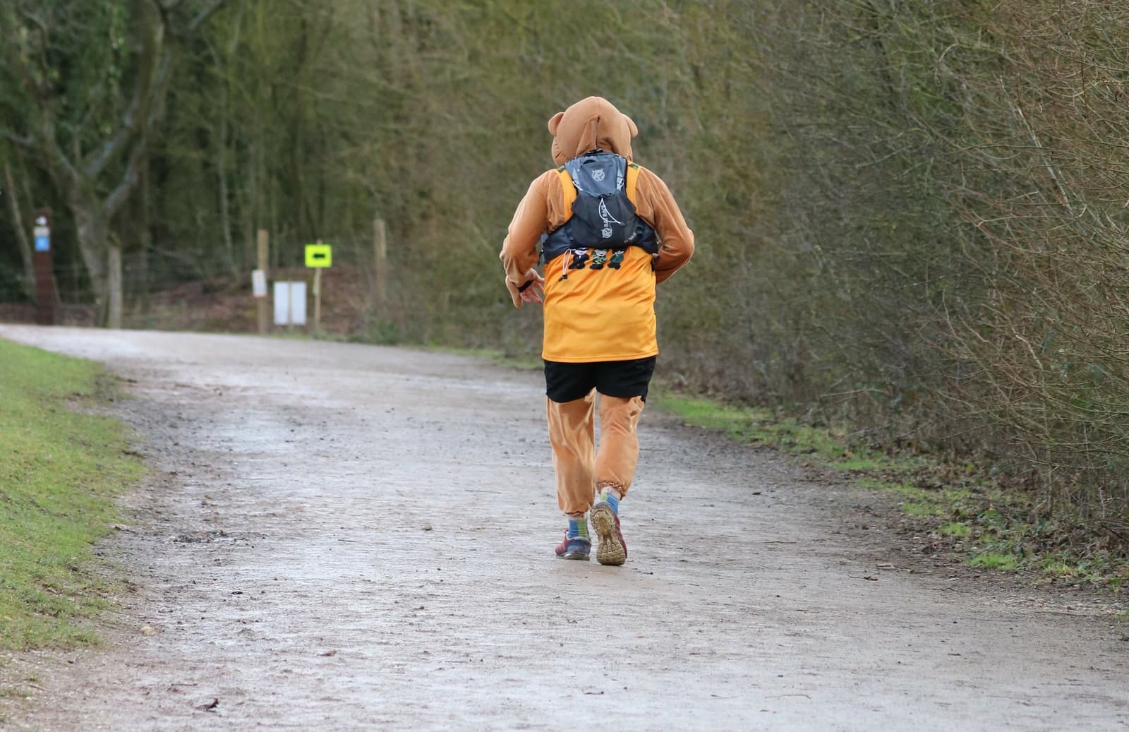A person dressed in a brown bear costume runs on a gravel path through a wooded area. They are wearing a black hydration pack on their back. The surroundings are green with trees and bushes lining the path. The ground appears wet and muddy.