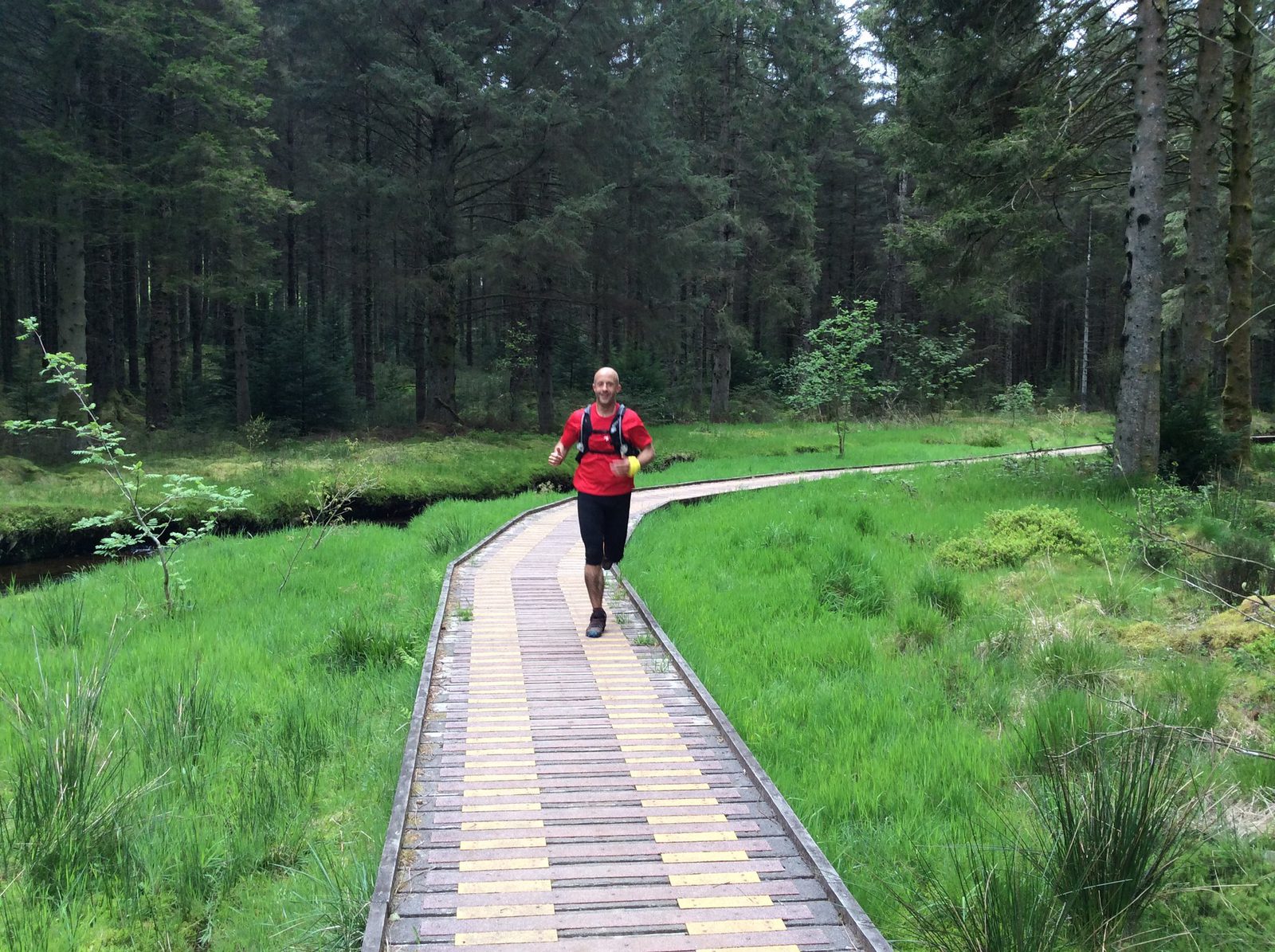 A person wearing a red shirt and black pants is jogging on a wooden path through a forested area. The path is surrounded by lush green grass and tall trees, and a small stream runs parallel to the path. The scene appears serene and natural.