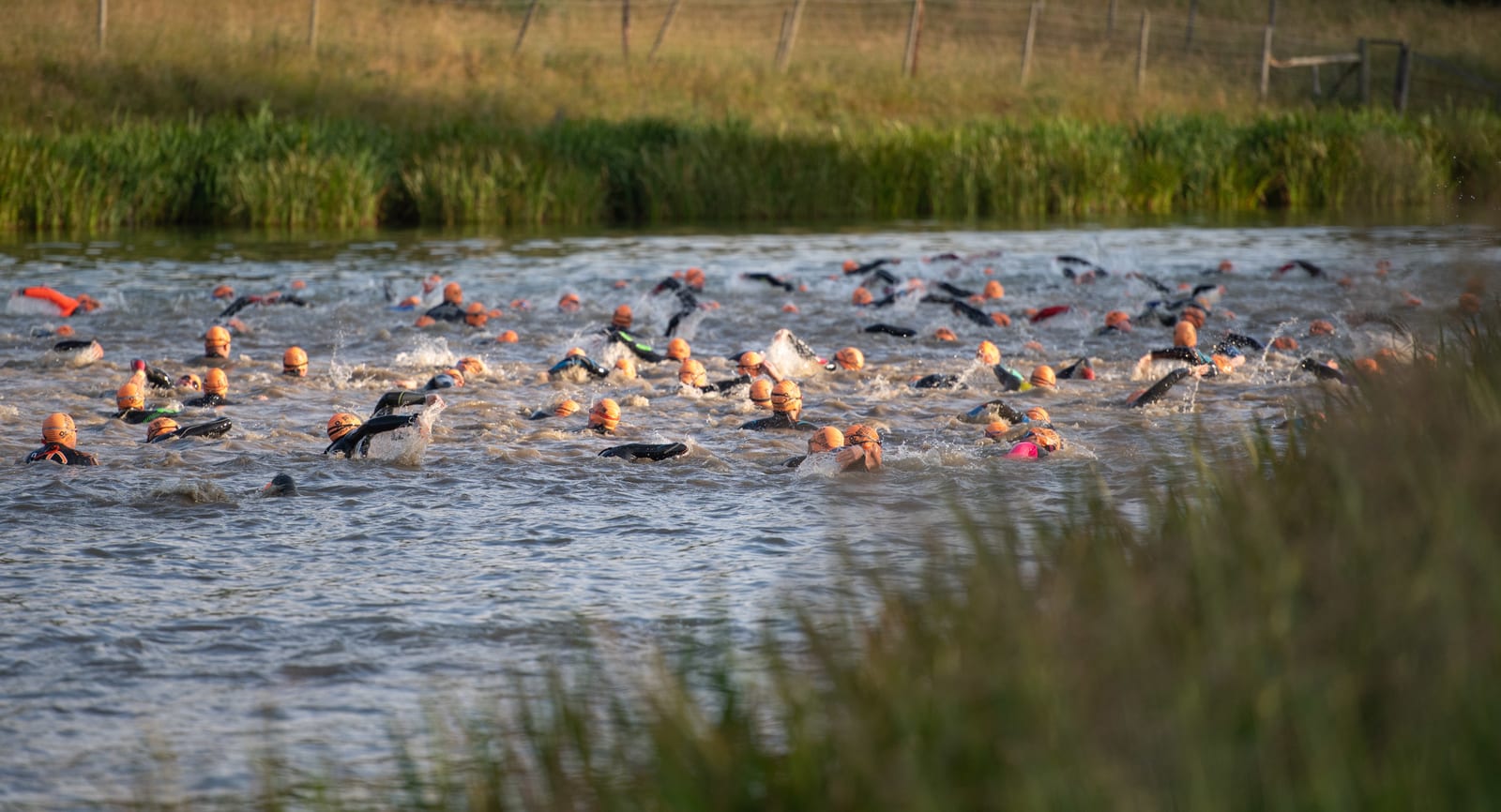 A group of swimmers wearing orange caps and wetsuits competes in an open water race in a lake surrounded by grass and a fenced area. Some swimmers have their heads above water while others are mid-stroke, creating splashes as they move forward.