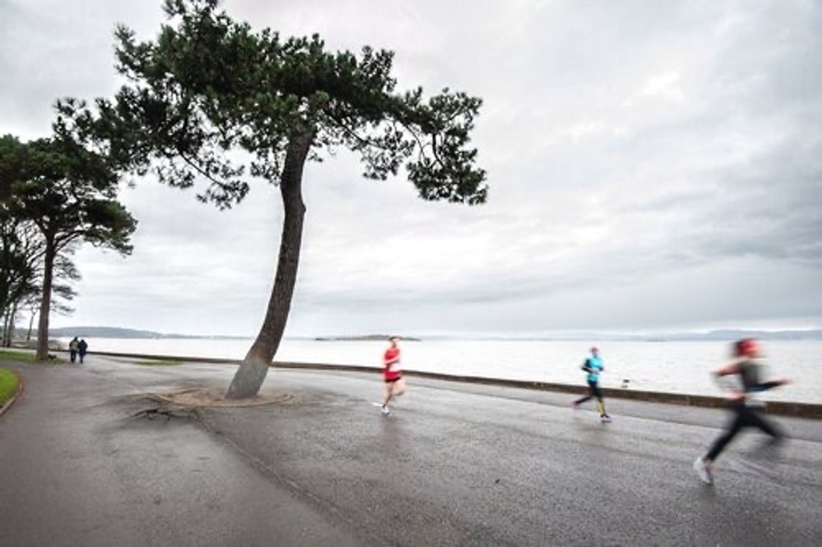 Three people jog along a waterfront road on a cloudy day. The road is lined with trees, including a uniquely bent tree in the foreground. The water and overcast sky create a serene backdrop.