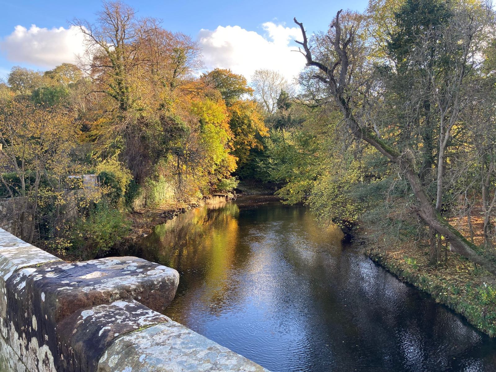 A serene river flows through an autumnal forest, with trees showcasing vibrant fall colors of orange, yellow, and green. A stone bridge with weathered railings overlooks the clear water. The sky is blue with a few fluffy clouds.