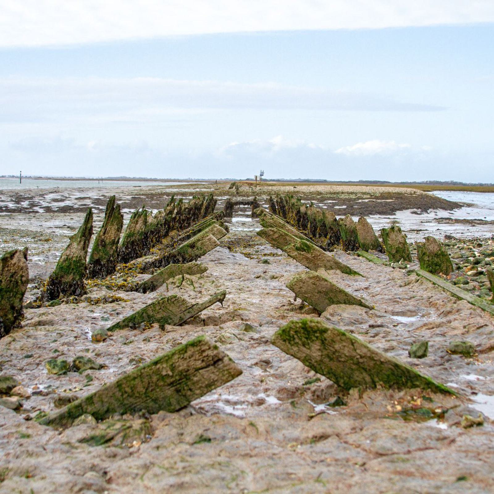 Old, decaying wooden beams covered in green algae protrude from a flat, rocky shoreline under a cloudy sky. The beams, arranged in a line, extend towards the calm sea in the background.