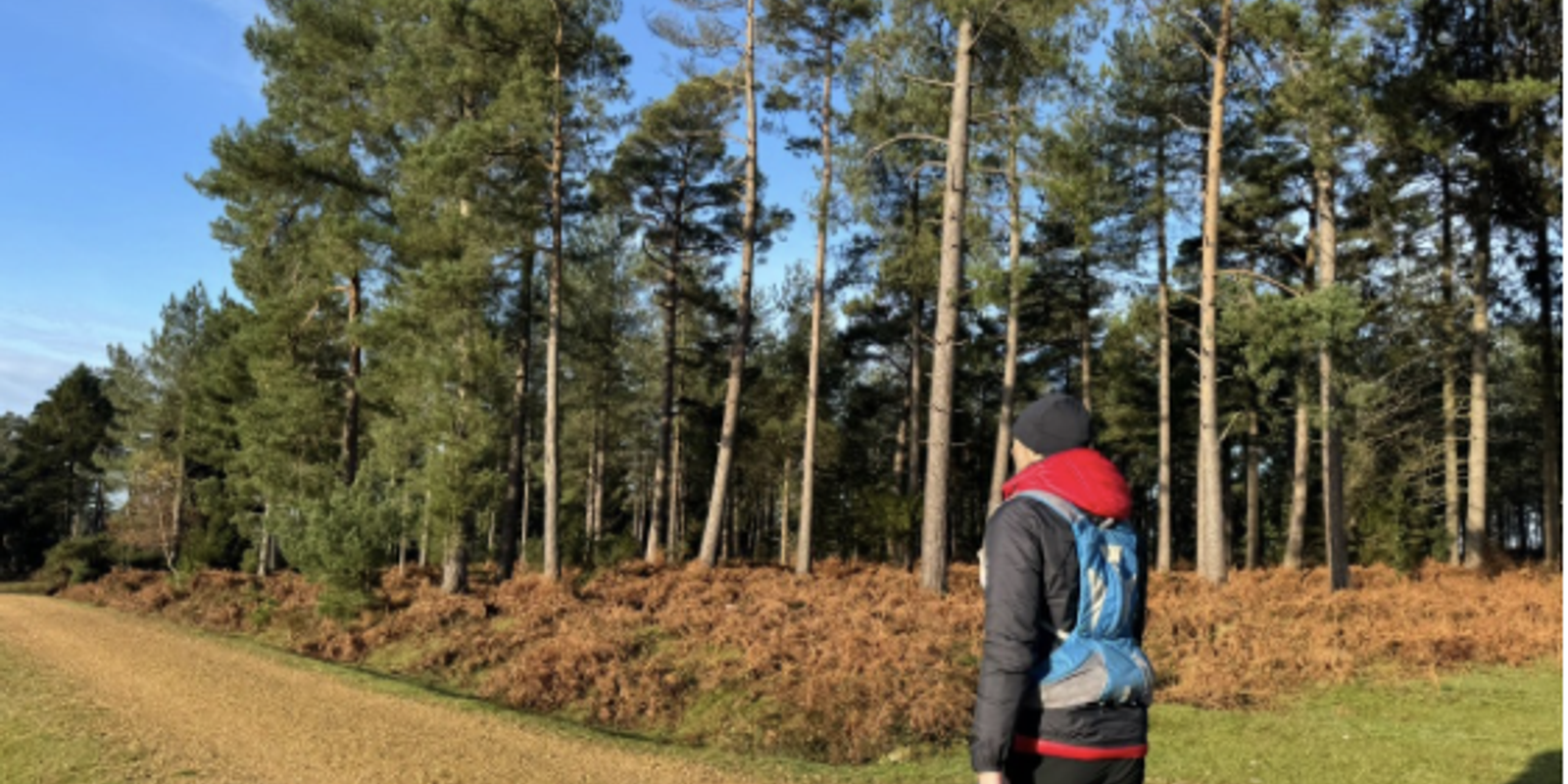 NEW FOREST NORTH HIKING TRAIL 2025 Sat Feb Findarace