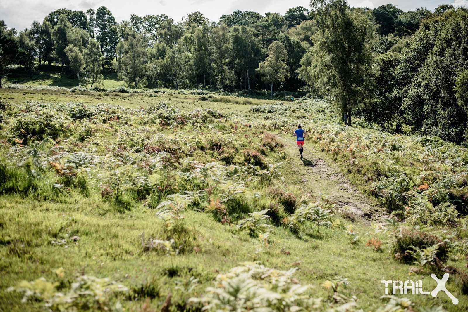 A lone runner in a blue shirt and red shorts runs along a dirt path through a scenic, grassy landscape. The path is surrounded by green ferns and bushes, with a backdrop of dense trees under a partly cloudy sky. "TrailX" is branded in the bottom right corner.