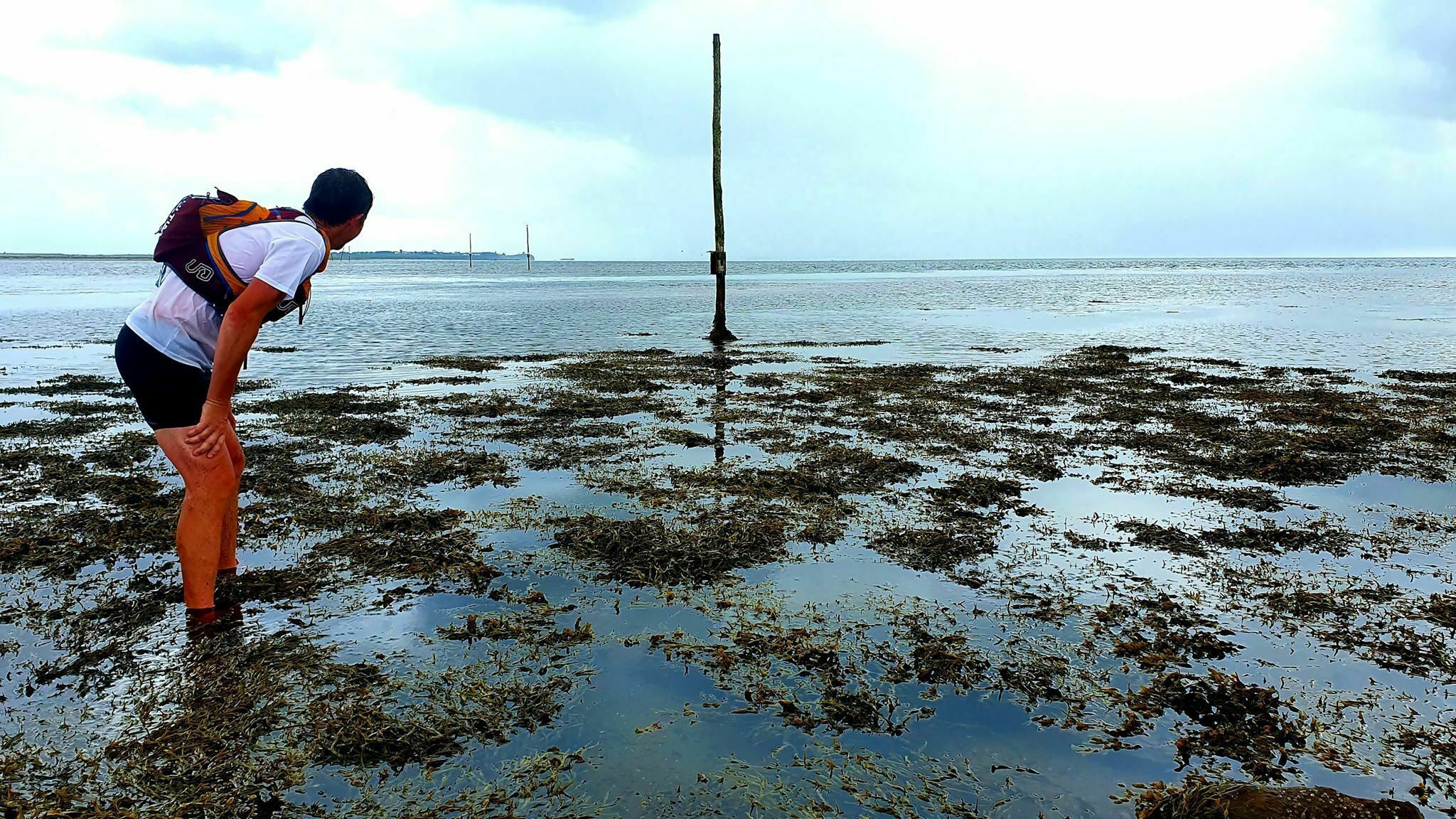 A person wearing a backpack and sportswear looks at a tall wooden pole in a vast, muddy intertidal zone. The sky is overcast, and the wet ground reflects the muted light. In the distance, the coastline and industrial structures are faintly visible.