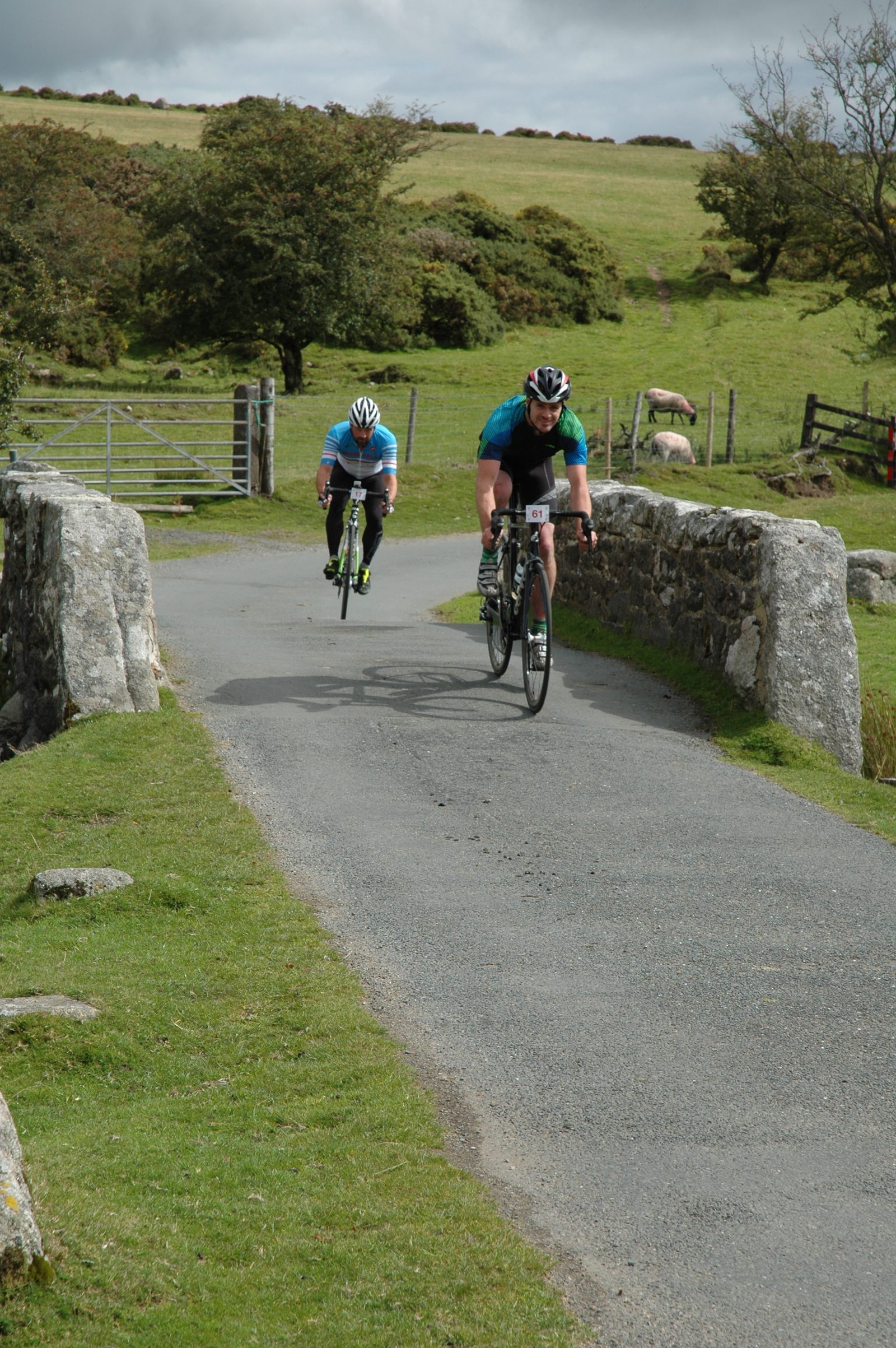 Two cyclists are riding across a narrow, rural bridge with stone walls. They are wearing helmets and blue jerseys, cycling in a green countryside area with grazing sheep, trees, and a cloudy sky in the background.