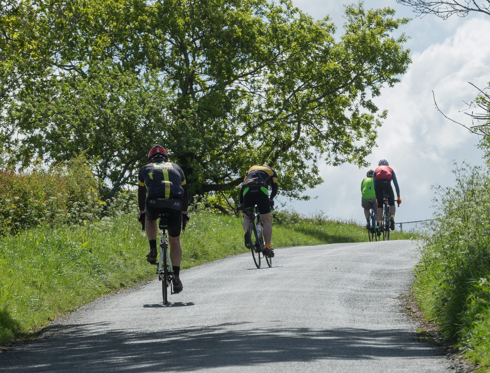Four cyclists riding up a hilly road surrounded by greenery. The sky is partly cloudy, and the cyclists are wearing colorful jerseys and helmets. Trees and bushes line both sides of the road, creating a scenic, lush landscape.
