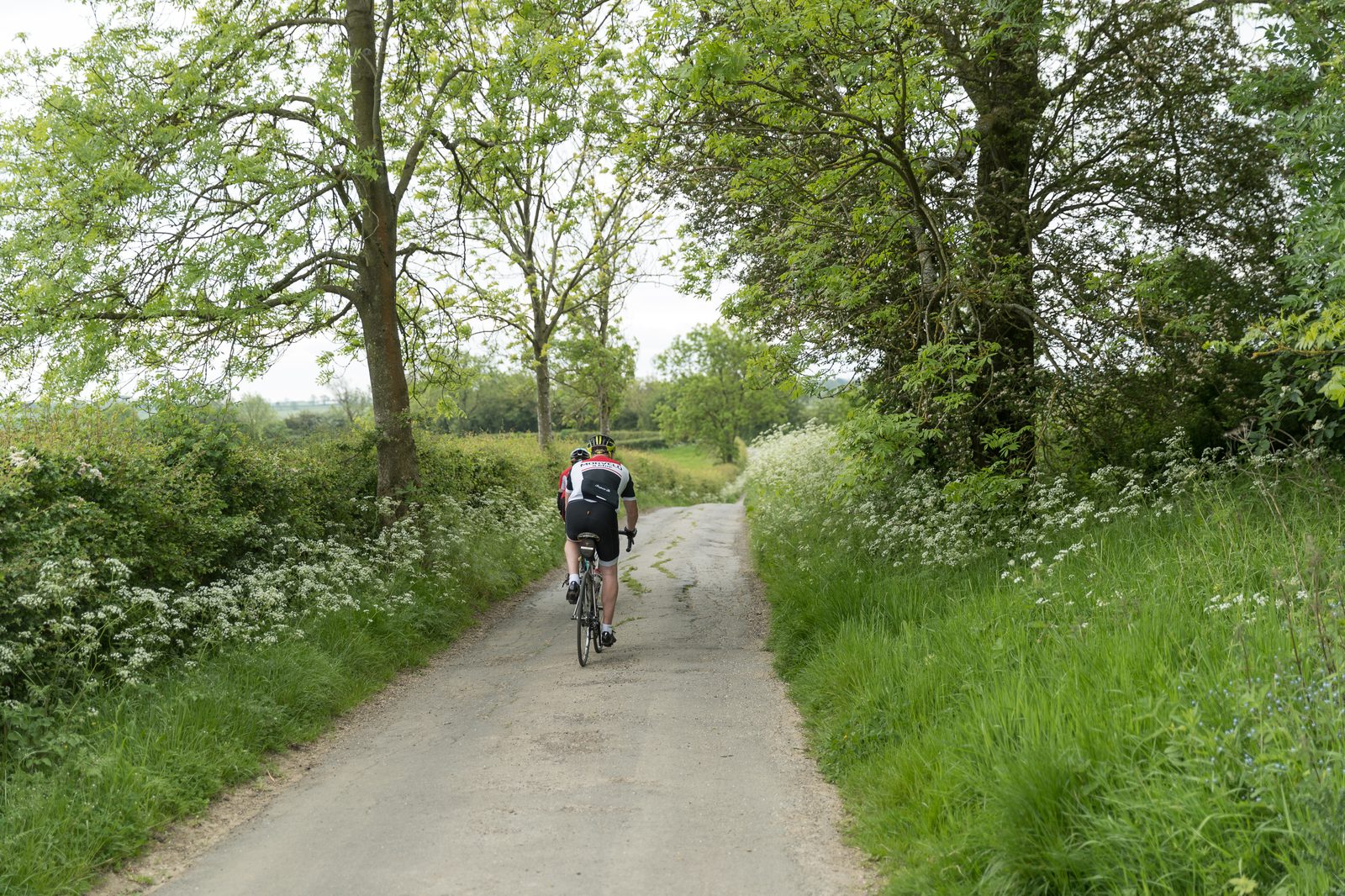 Two cyclists ride on a narrow rural road surrounded by lush green trees and bushes. The sky is overcast, casting a soft light over the scene as the cyclists head away from the camera. Wildflowers are blooming along the roadside, adding to the tranquil atmosphere.