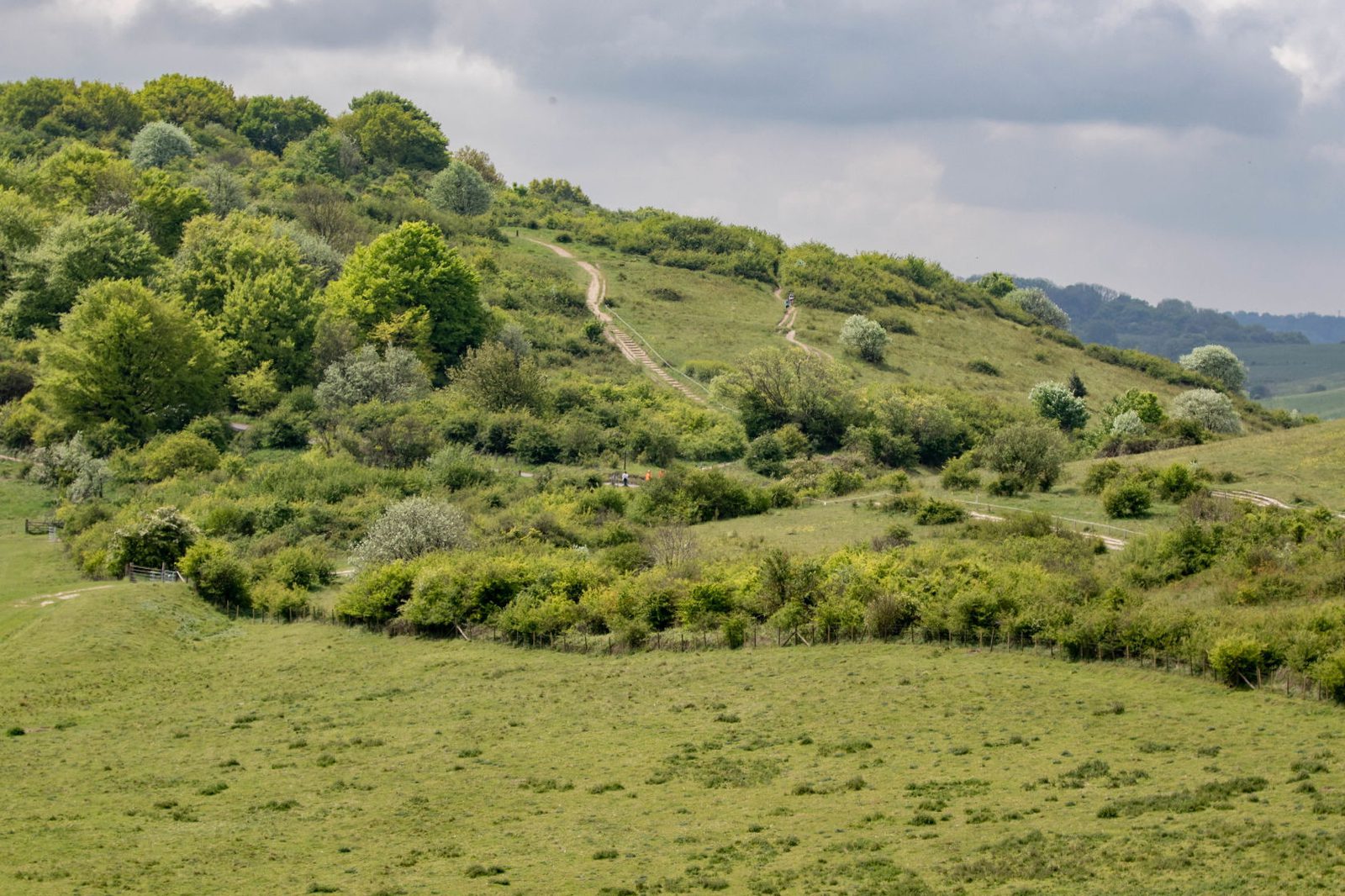 A scenic landscape featuring rolling green hills dotted with shrubs and trees. A winding path cuts through the grassy terrain, leading towards the hill's summit. The sky above is cloudy, casting a serene light over the countryside.