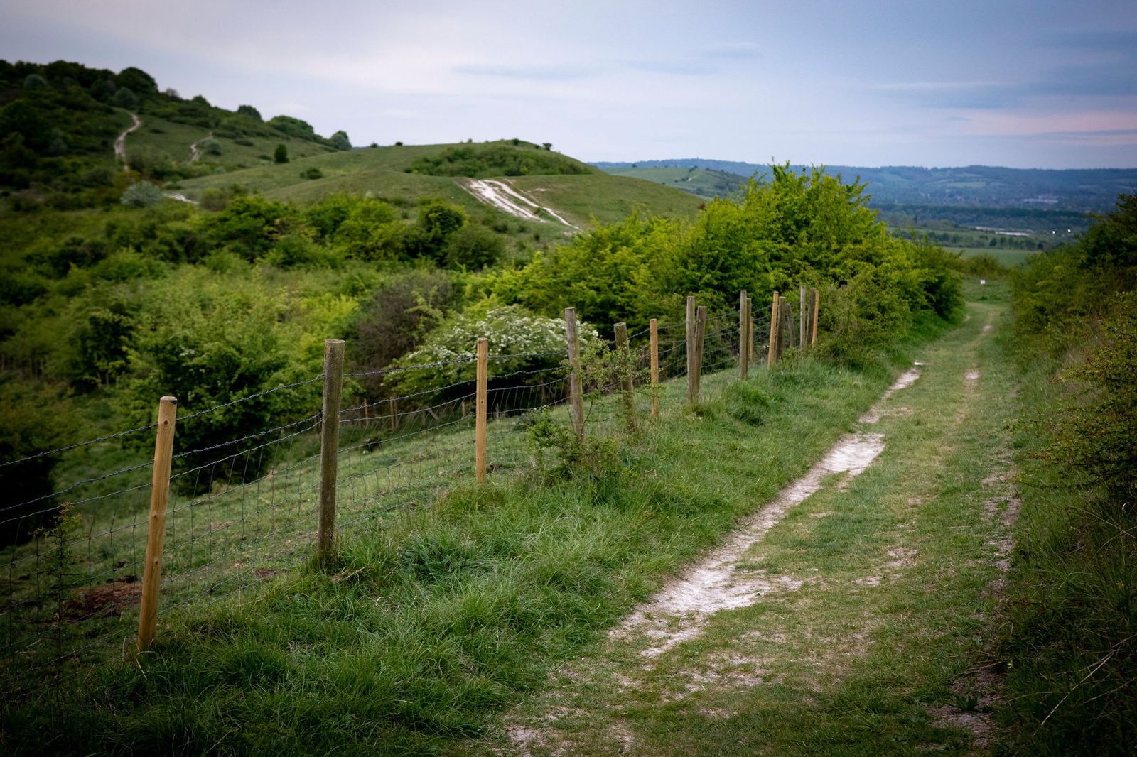 A dirt path lined with greenery and a wire fence with wooden posts stretches through rolling hills and dense foliage under an overcast sky. The path curves gently to the right, leading into a lush, scenic landscape.