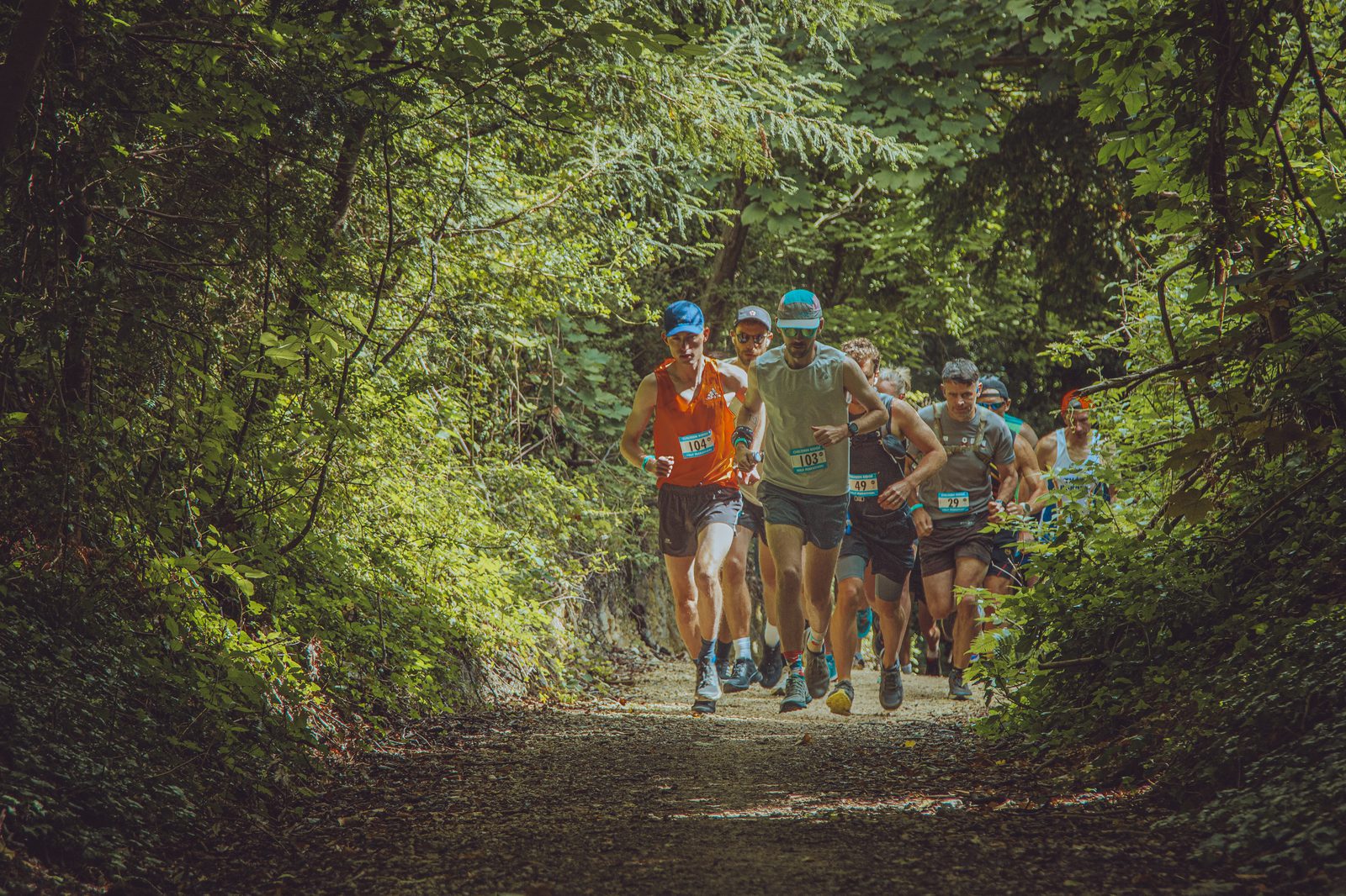 A group of runners, wearing athletic gear and race bibs, run along a shaded, forested path. Sunlight filters through the dense green foliage above. The dirt trail winds through the lush greenery, creating a scenic and energetic atmosphere.