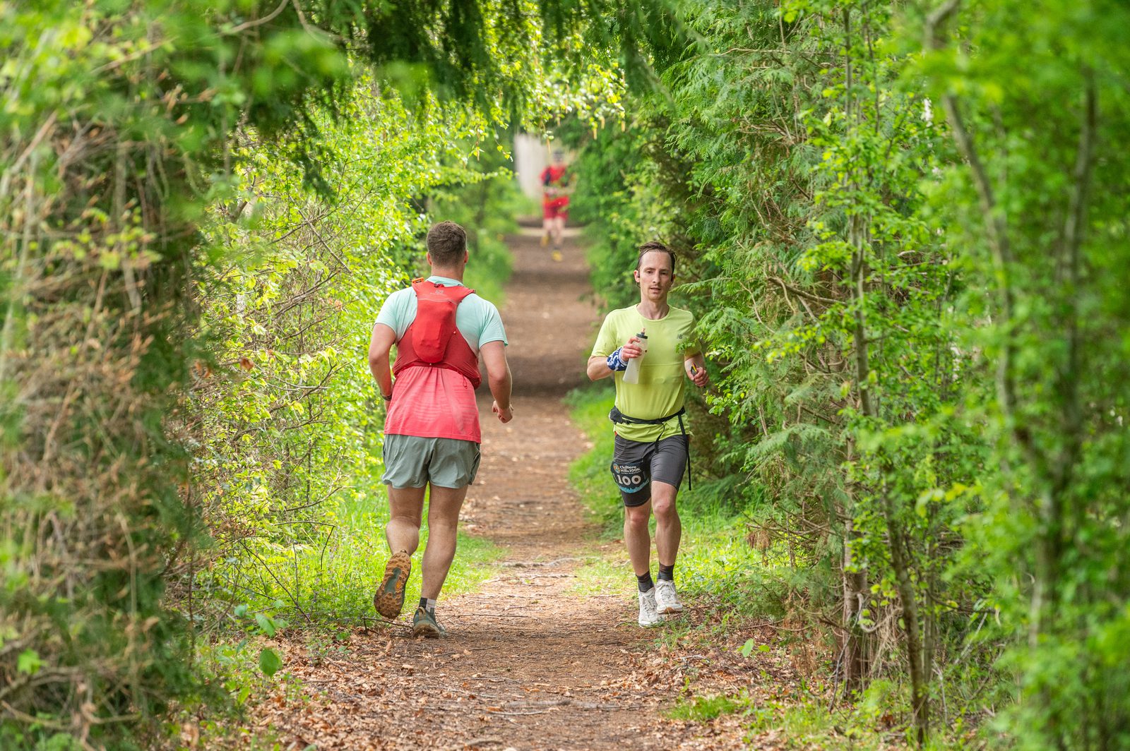 Two people jog on a forest trail surrounded by lush green trees, while another runner is visible further down the path. The scene is bright and lively, with sunlight filtering through the leaves.