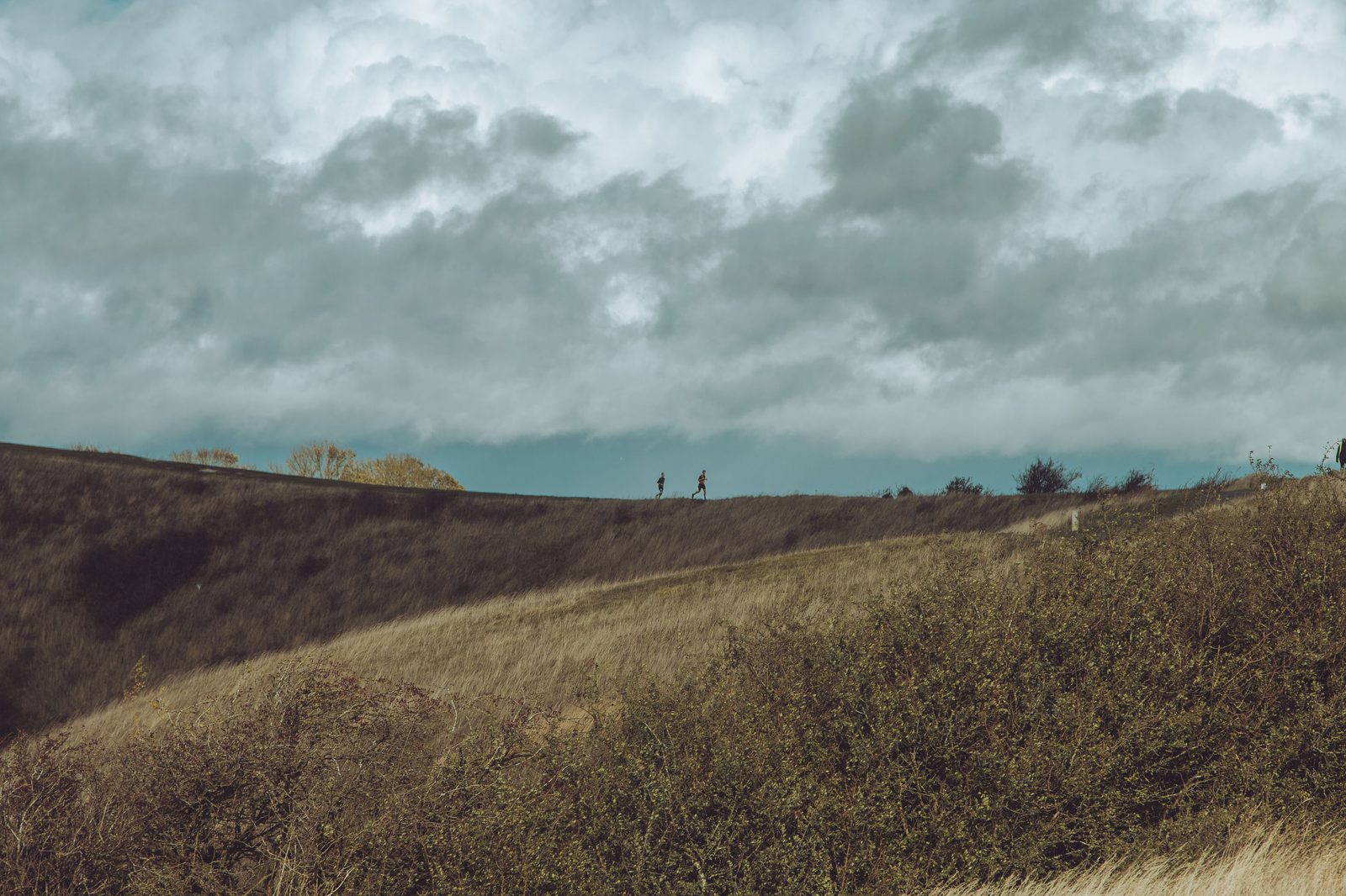 Two people walking along a ridgeline under a dramatic cloudy sky. The scene features a mix of grass, bushes, and trees on the hillside, creating a natural landscape. The distant horizon and overcast atmosphere contribute a sense of vastness and tranquility.