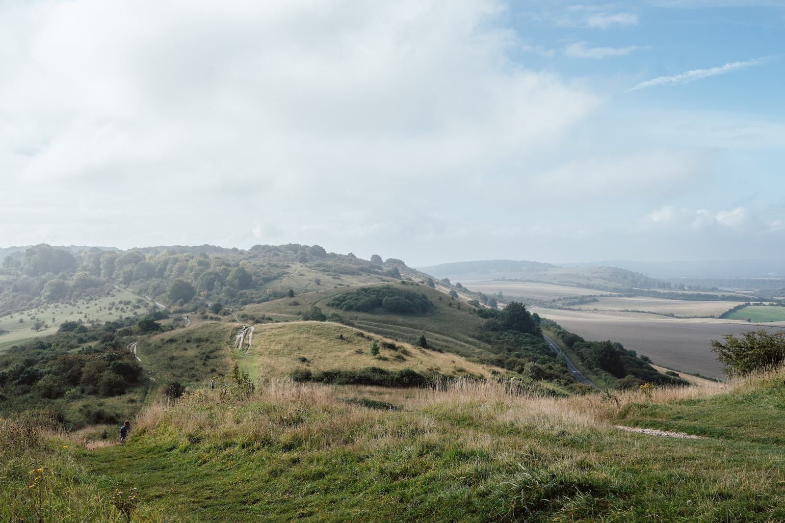 A picturesque landscape showing rolling hills covered in green grass and shrubs under a partly cloudy sky. A winding dirt path leads through the hills, and a distant, expansive view of fields and forests stretches toward the horizon.