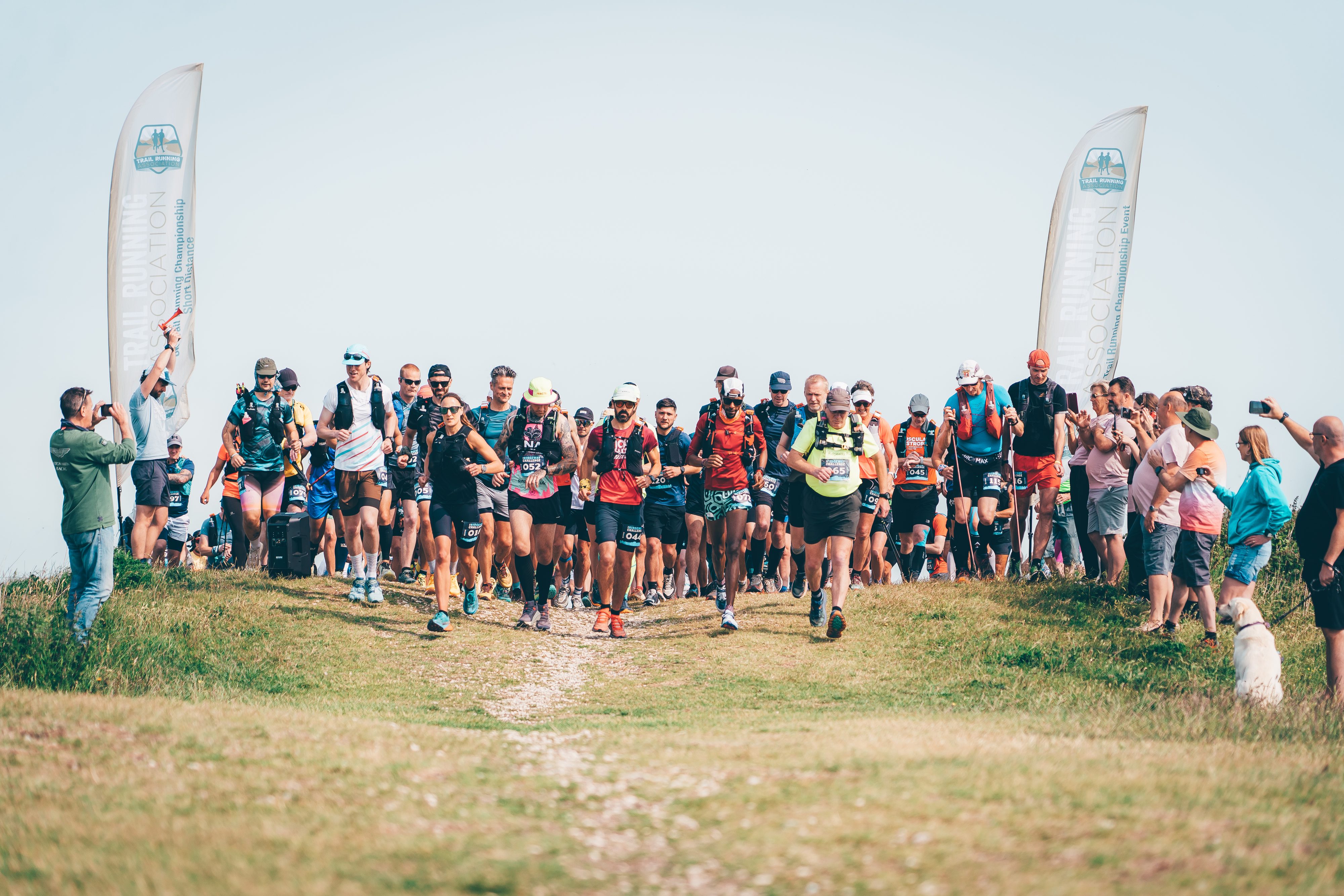 A large group of runners begin a race outdoors, surrounded by cheering spectators and two banners. The scene is sunny with grassy terrain and a clear sky. Some people are taking photos, and a dog sits in the foreground.