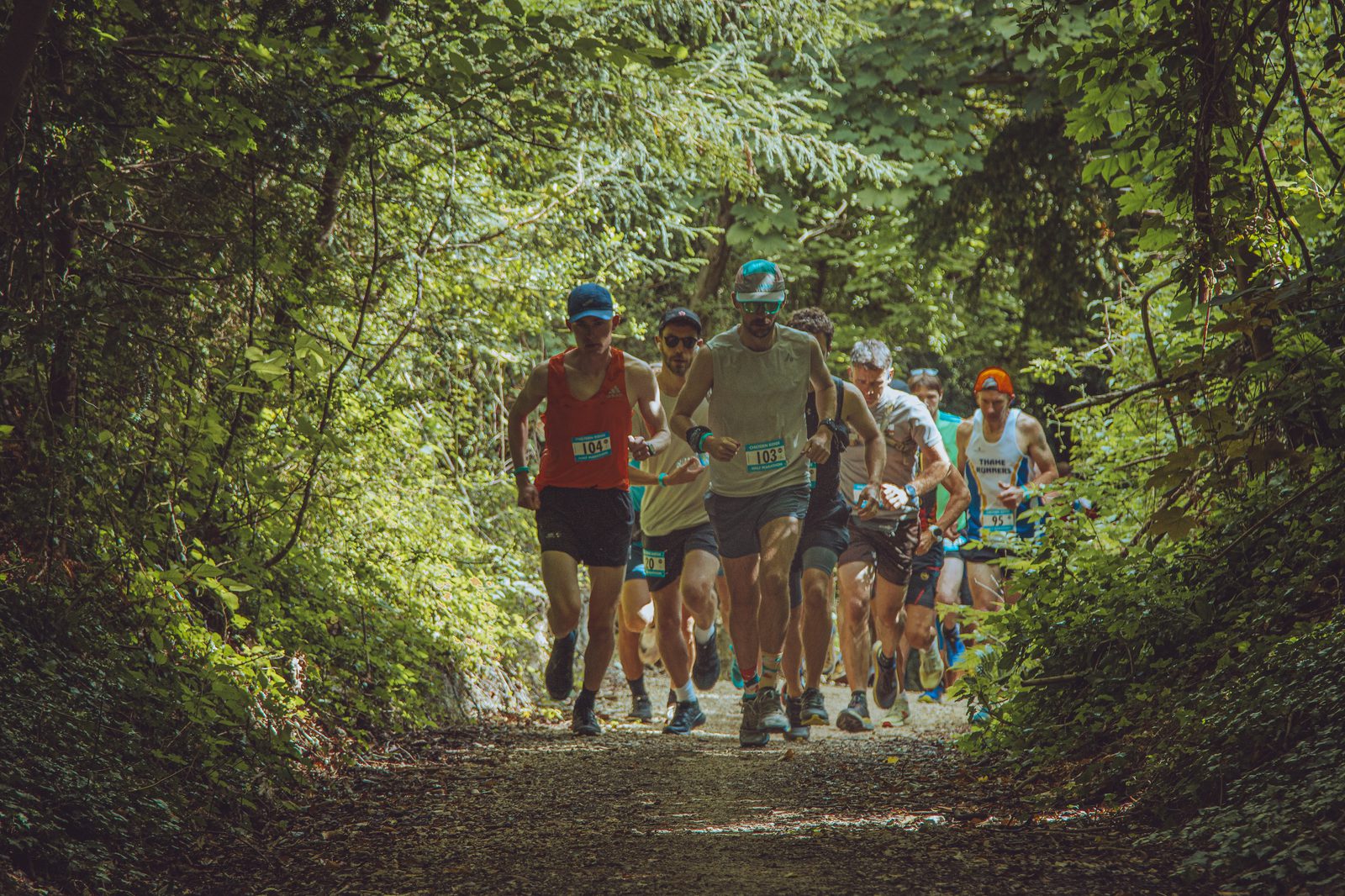 A group of runners wearing race bibs and athletic gear jog along a sun-dappled, forested trail surrounded by lush green foliage.