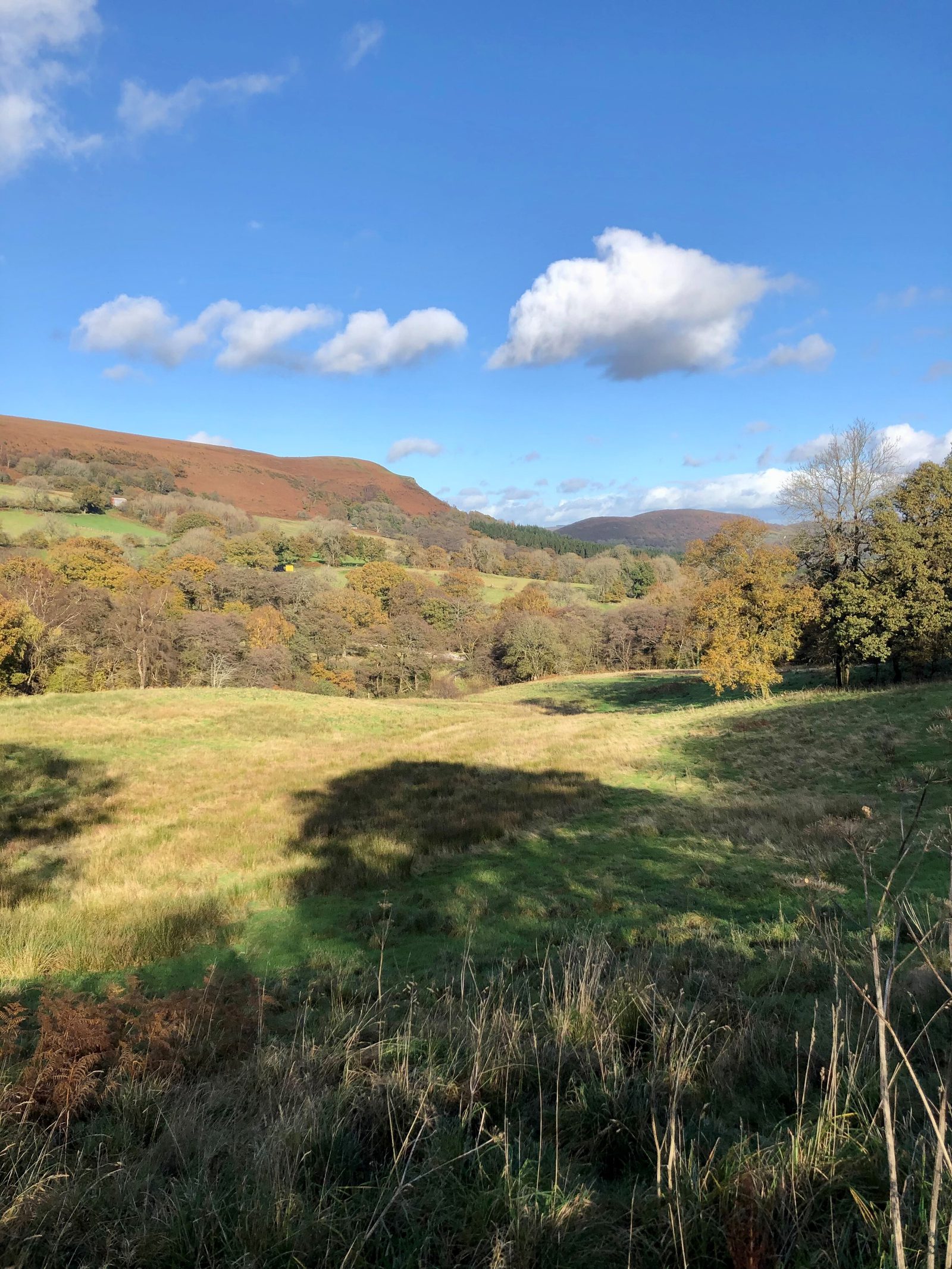 A scenic view of a grassy field surrounded by rolling hills covered with autumn-colored foliage under a bright blue sky with scattered white clouds. The hills in the background and the trees in the foreground create a picturesque landscape.