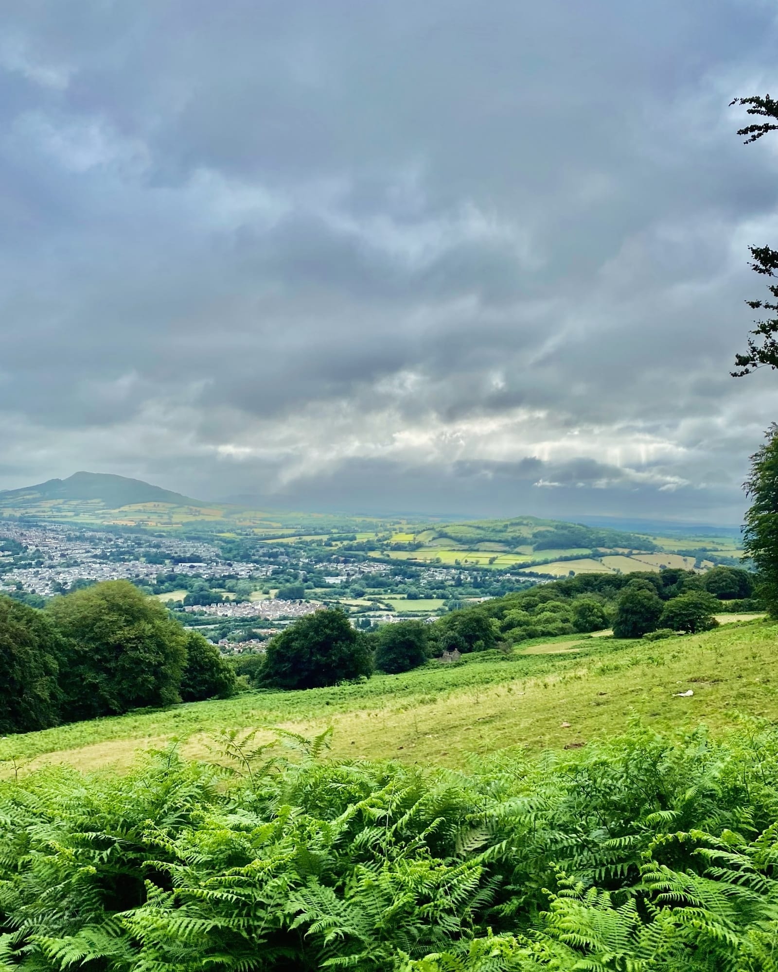 A lush green countryside with rolling hills, trees, and ferns in the foreground, a small town nestled in the valley, and dramatic, cloudy skies overhead.