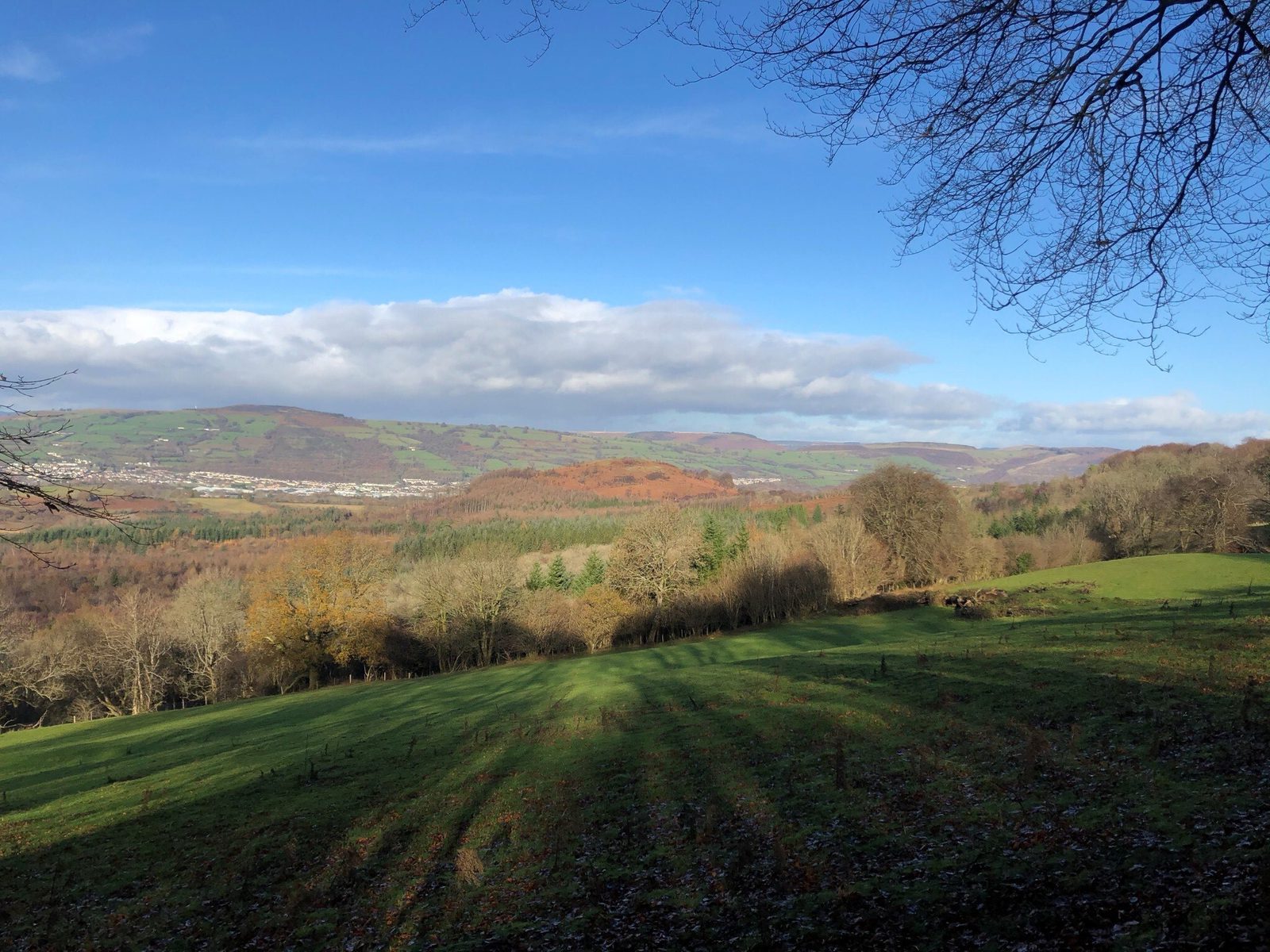 Rolling hills under a bright blue sky with scattered clouds. The landscape includes a mix of grassy fields, forests with autumnal foliage, and distant mountain ranges. Tree branches frame the scene in the upper right corner of the image.
