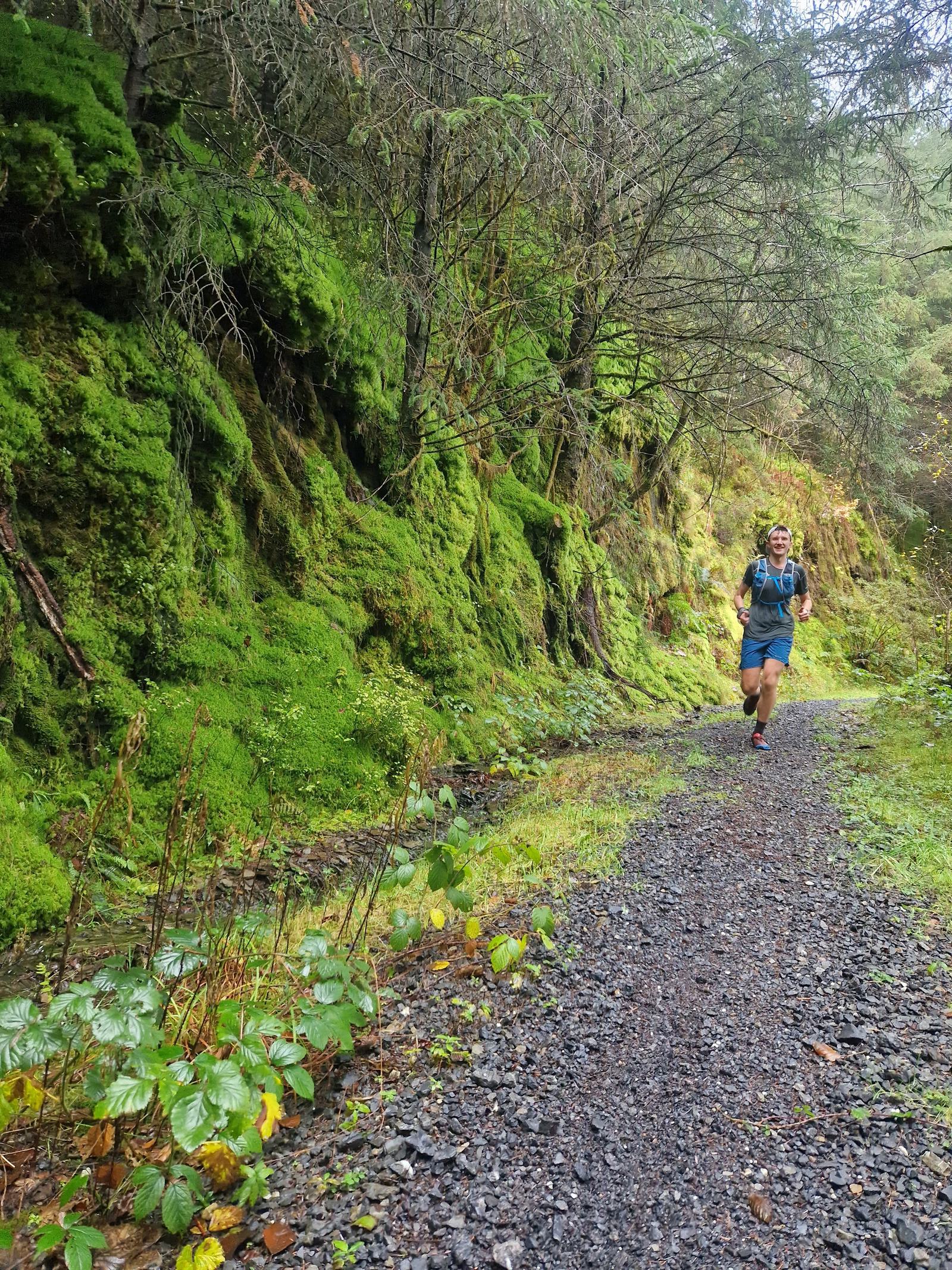 A person is running along a narrow, gravel trail in a dense forest. The scene is lush with greenery, and moss-covered trees and rocks surround the path. The person wears a blue outfit and appears to be enjoying the run through the natural setting.